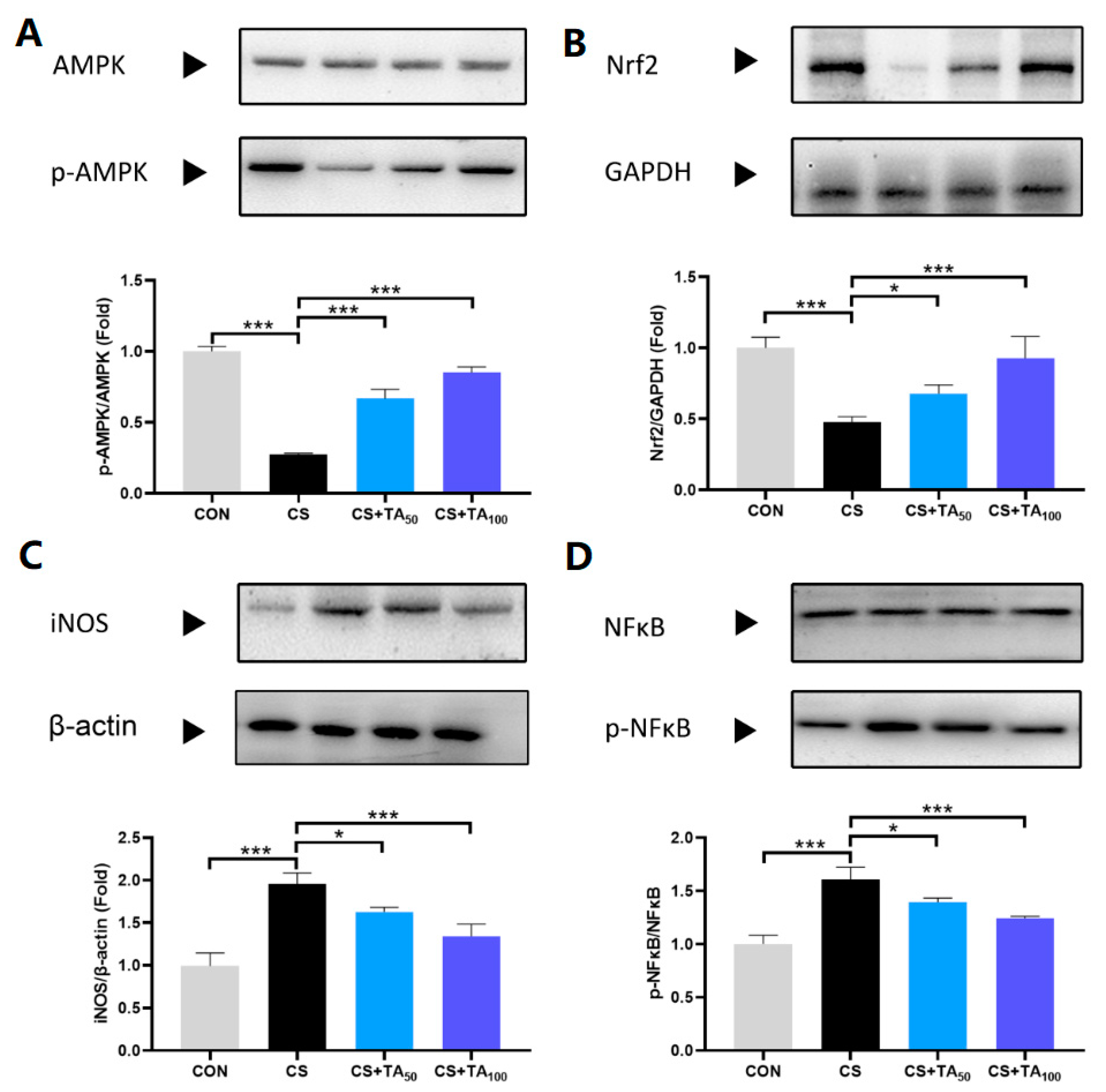 Nutrients 12 00657 g006