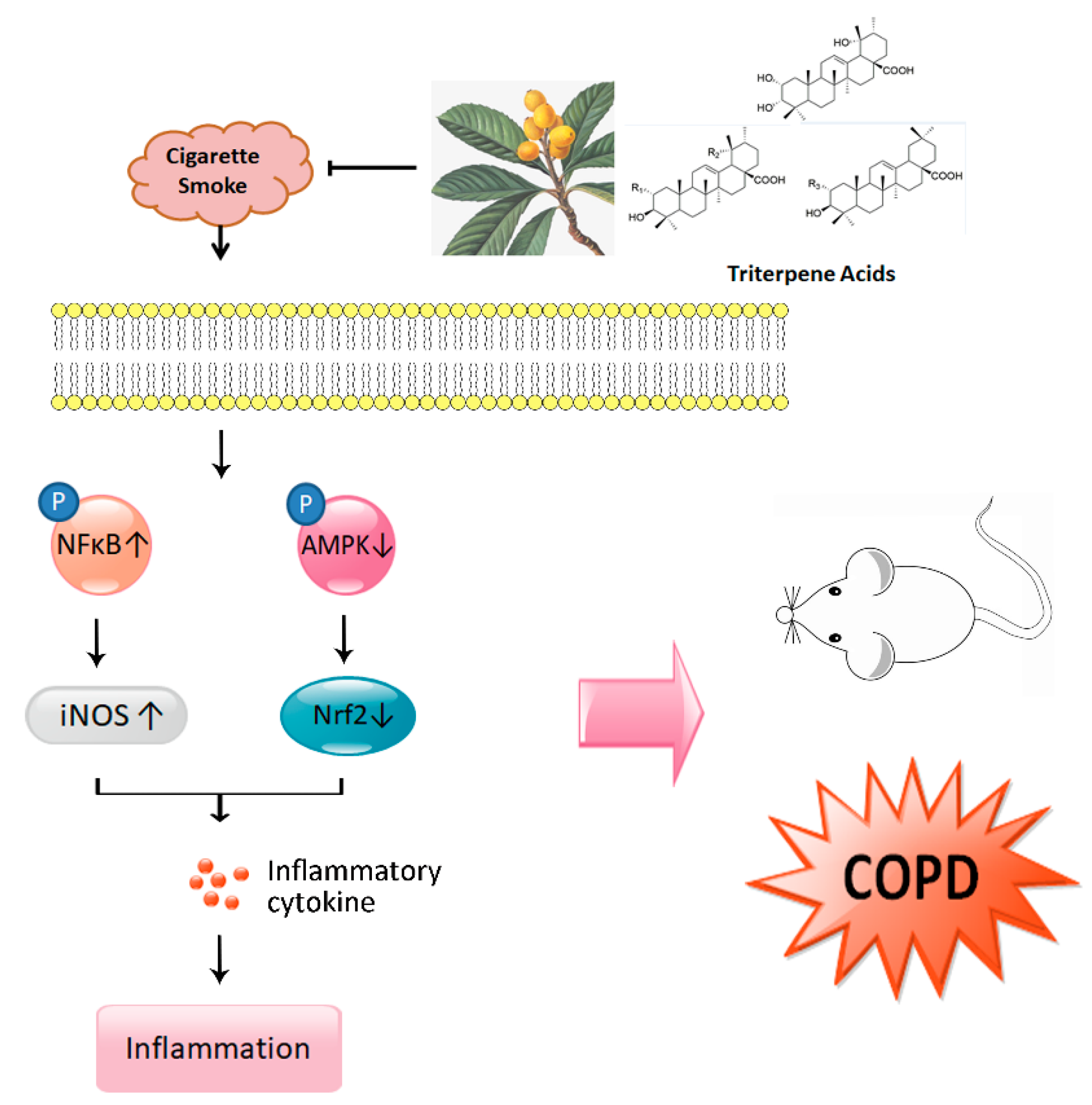 Nutrients 12 00657 g007