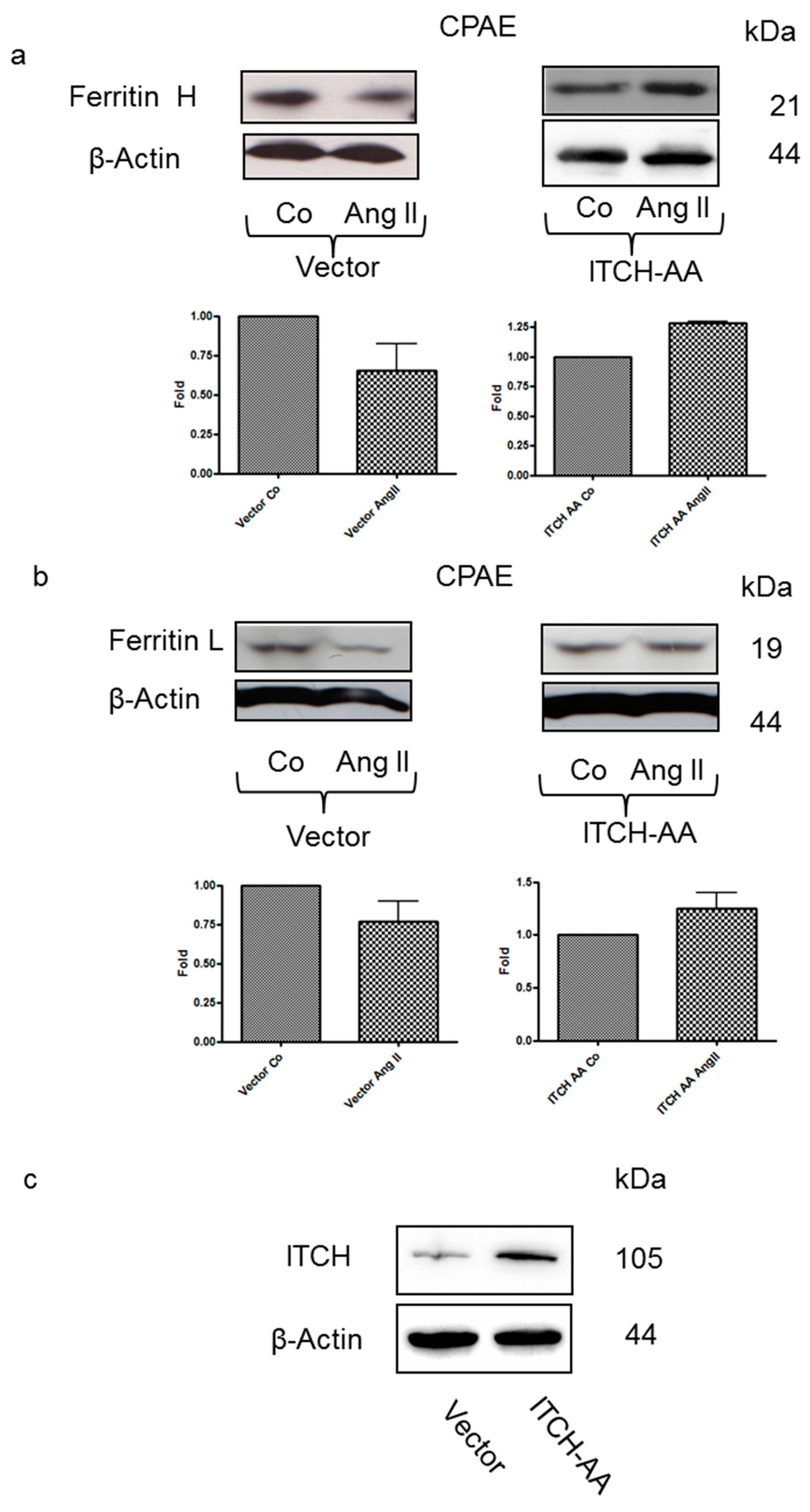 Nutrients 12 00668 g004 Nutrients 12 00668 g004