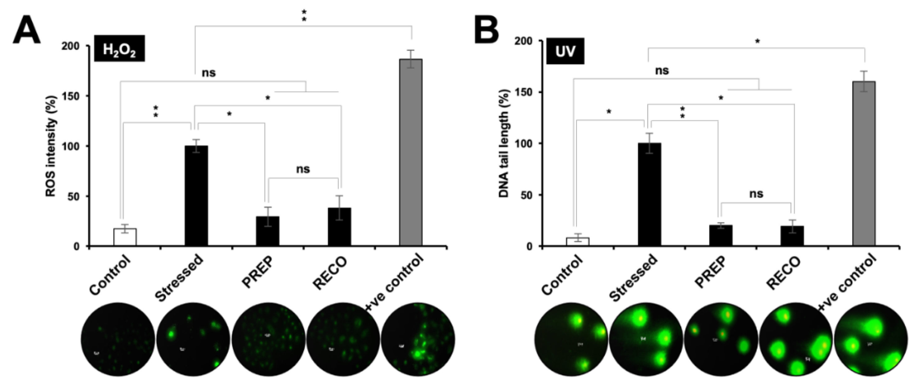 Nutrients 12 00671 g002 Nutrients 12 00671 g002
