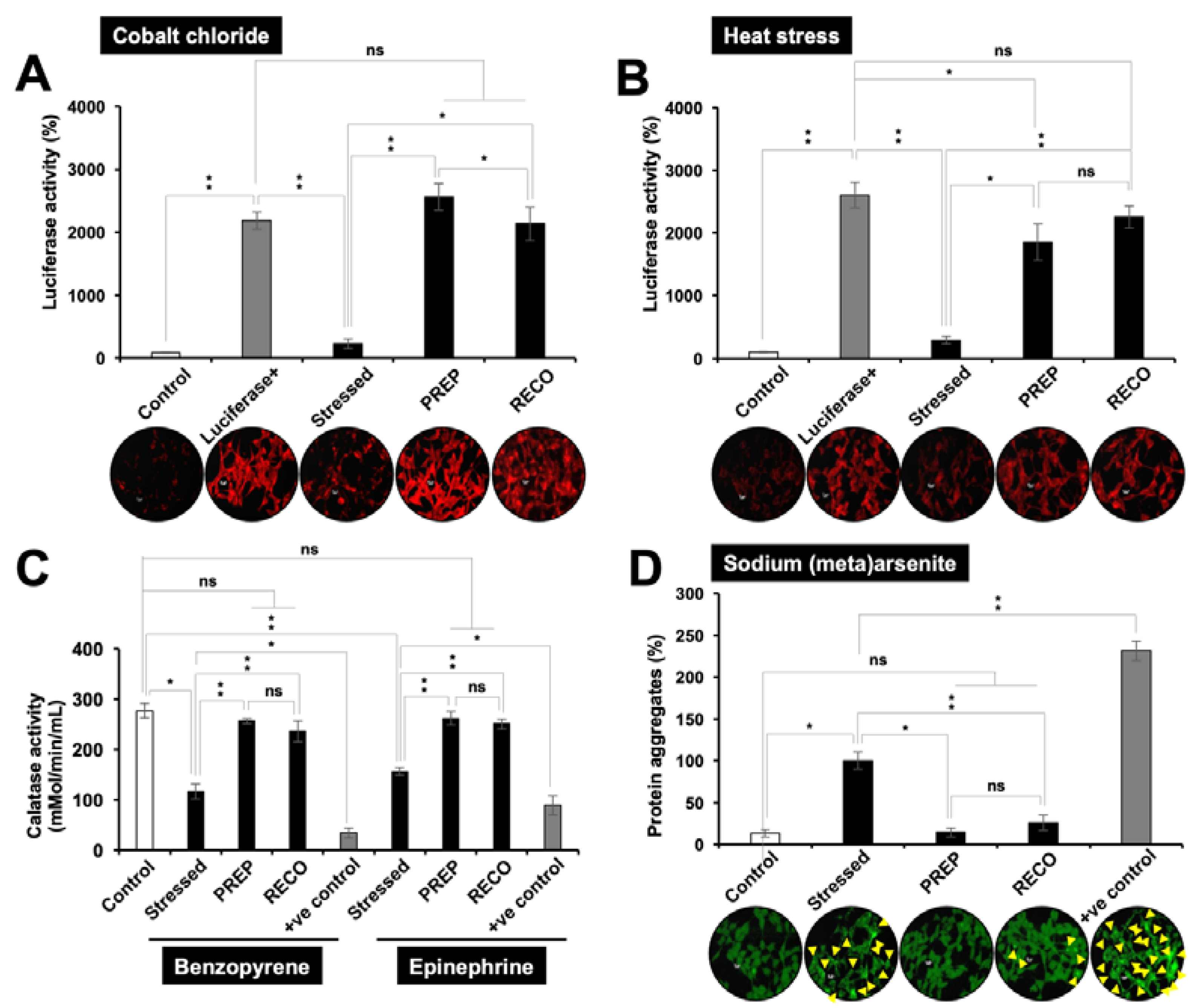 Nutrients 12 00671 g003 Nutrients 12 00671 g003