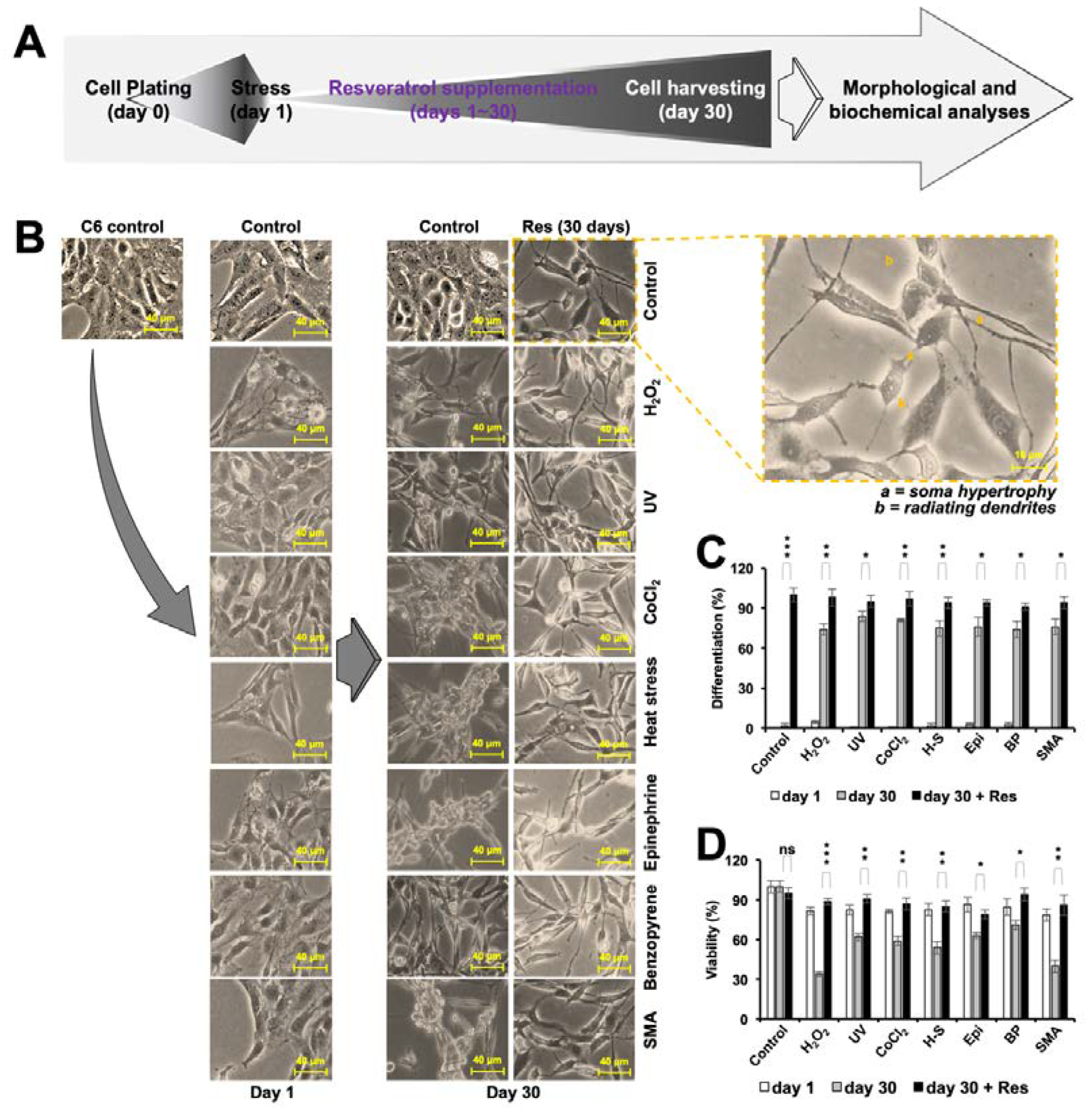 Nutrients 12 00671 g004 Nutrients 12 00671 g004