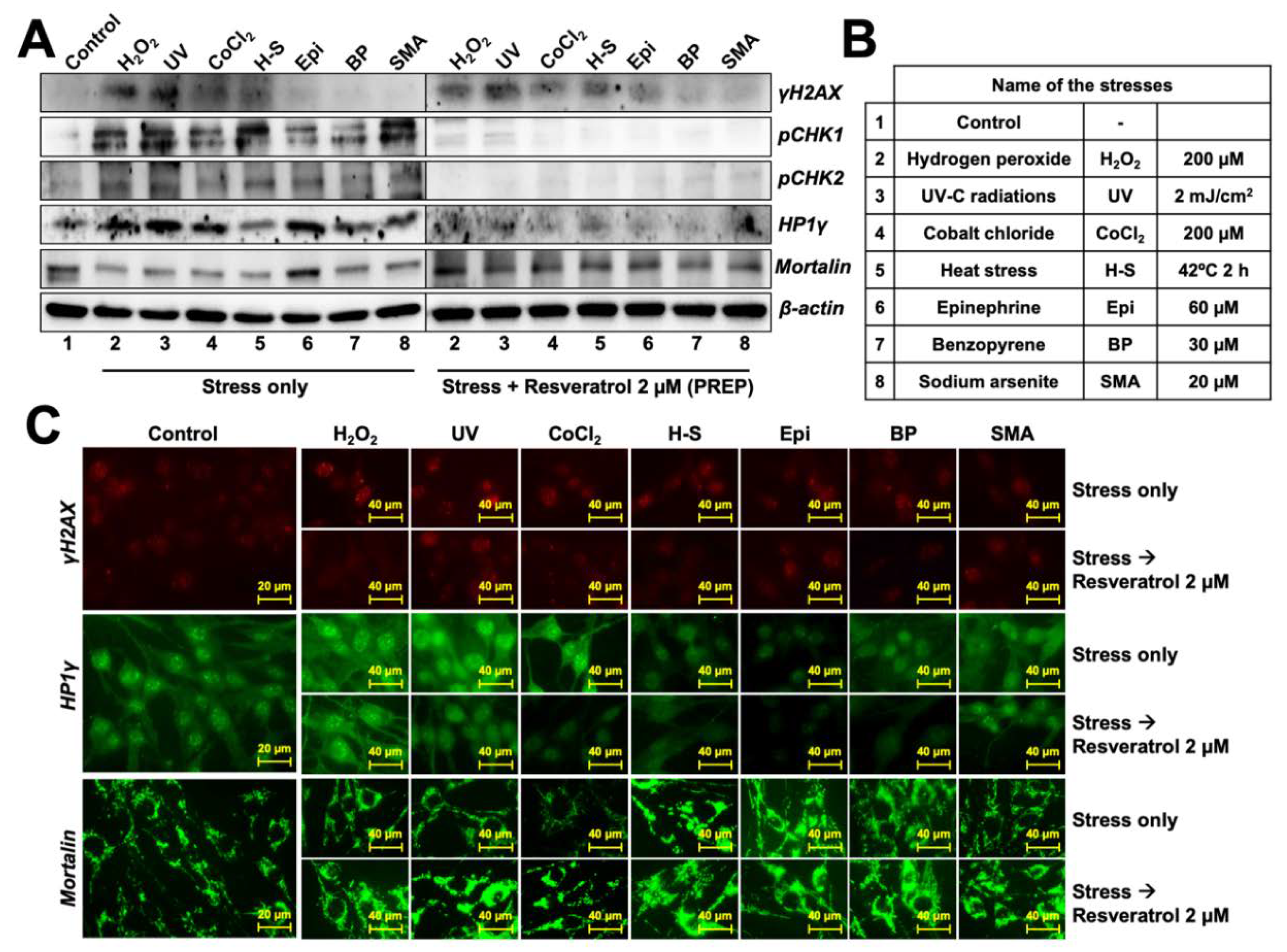 Nutrients 12 00671 g005 Nutrients 12 00671 g005