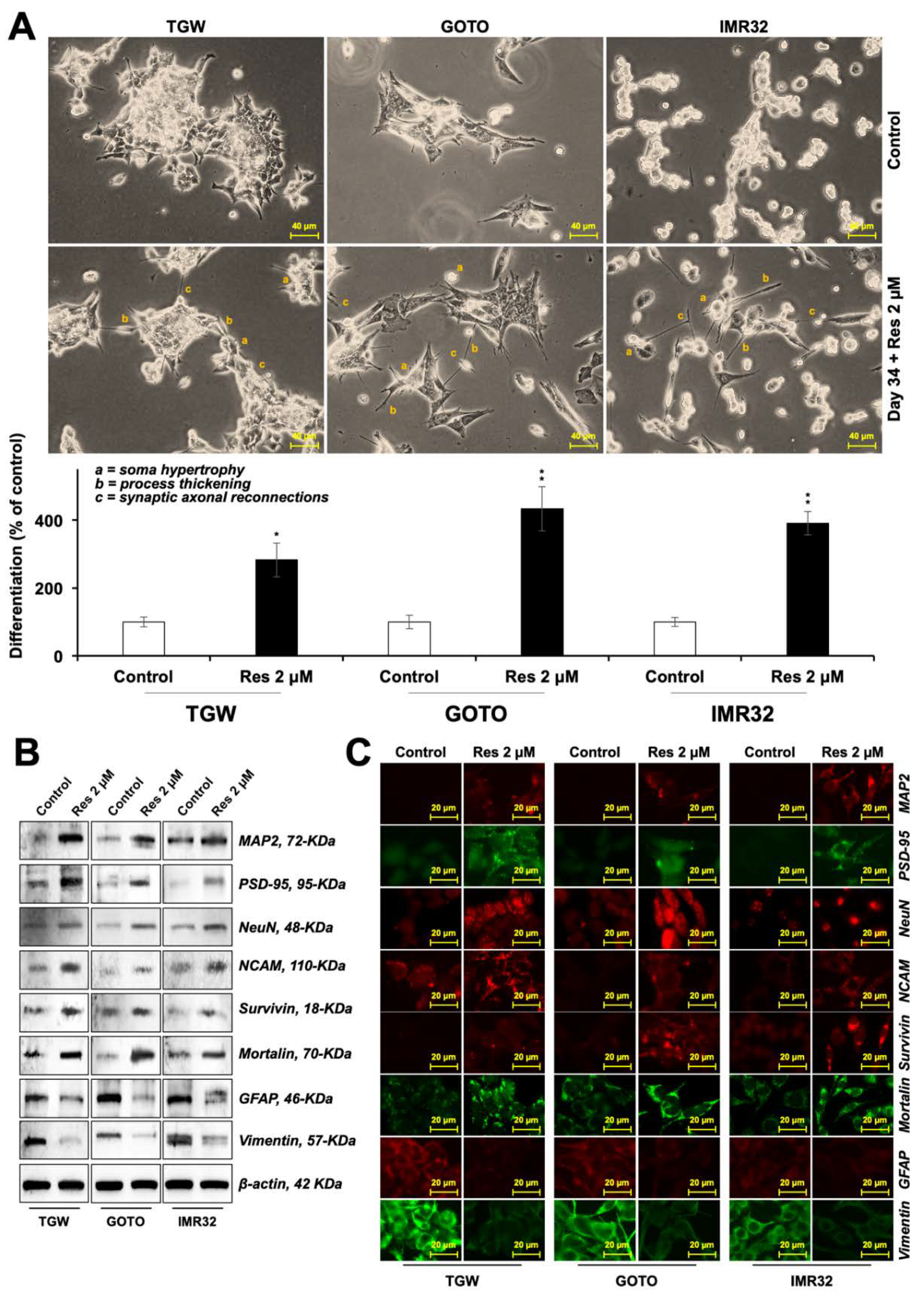 Nutrients 12 00671 g007 Nutrients 12 00671 g007