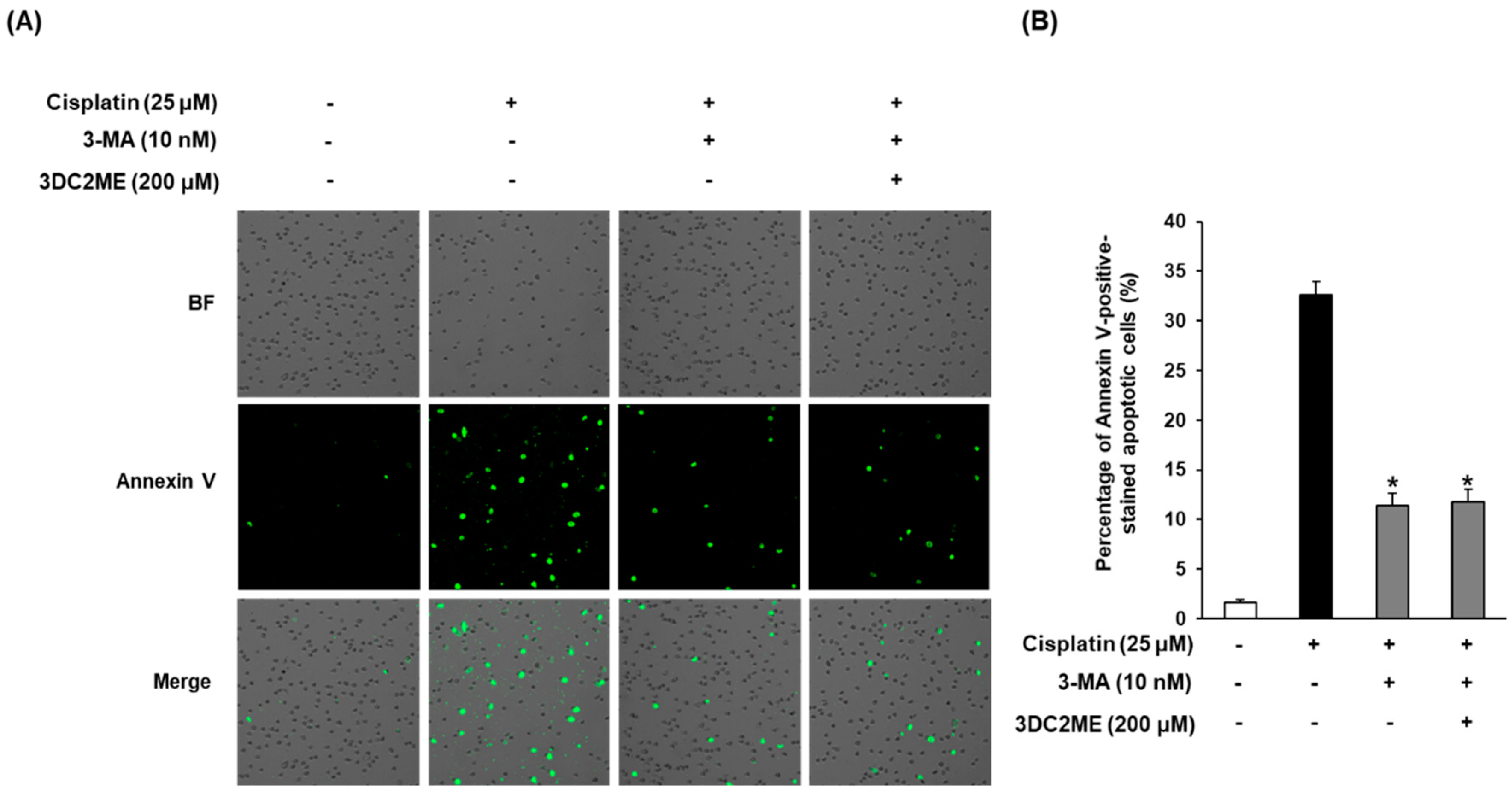 Nutrients 12 00677 g007