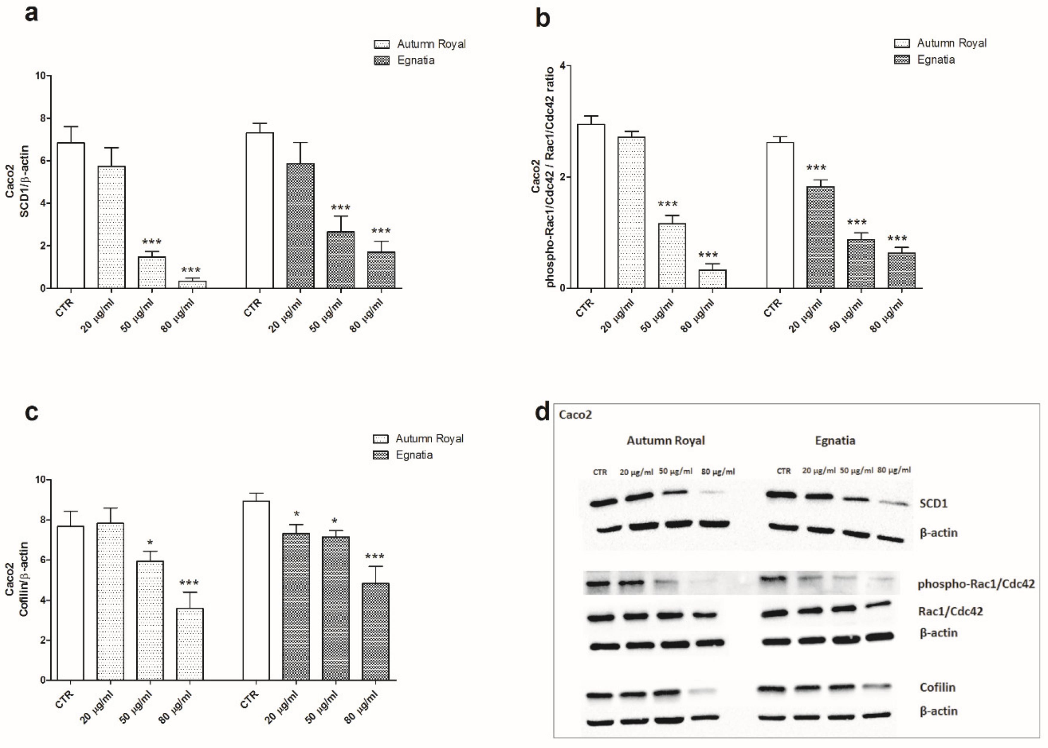 Nutrients 12 00693 g003 Nutrients 12 00693 g003