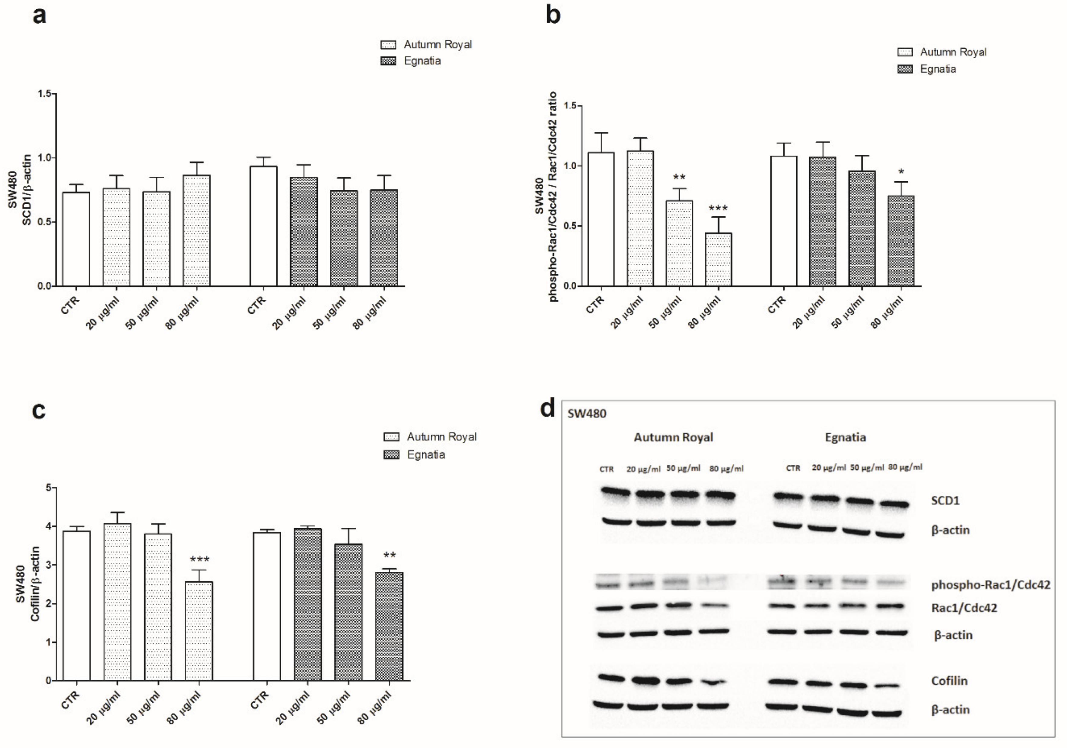Nutrients 12 00693 g004 Nutrients 12 00693 g004
