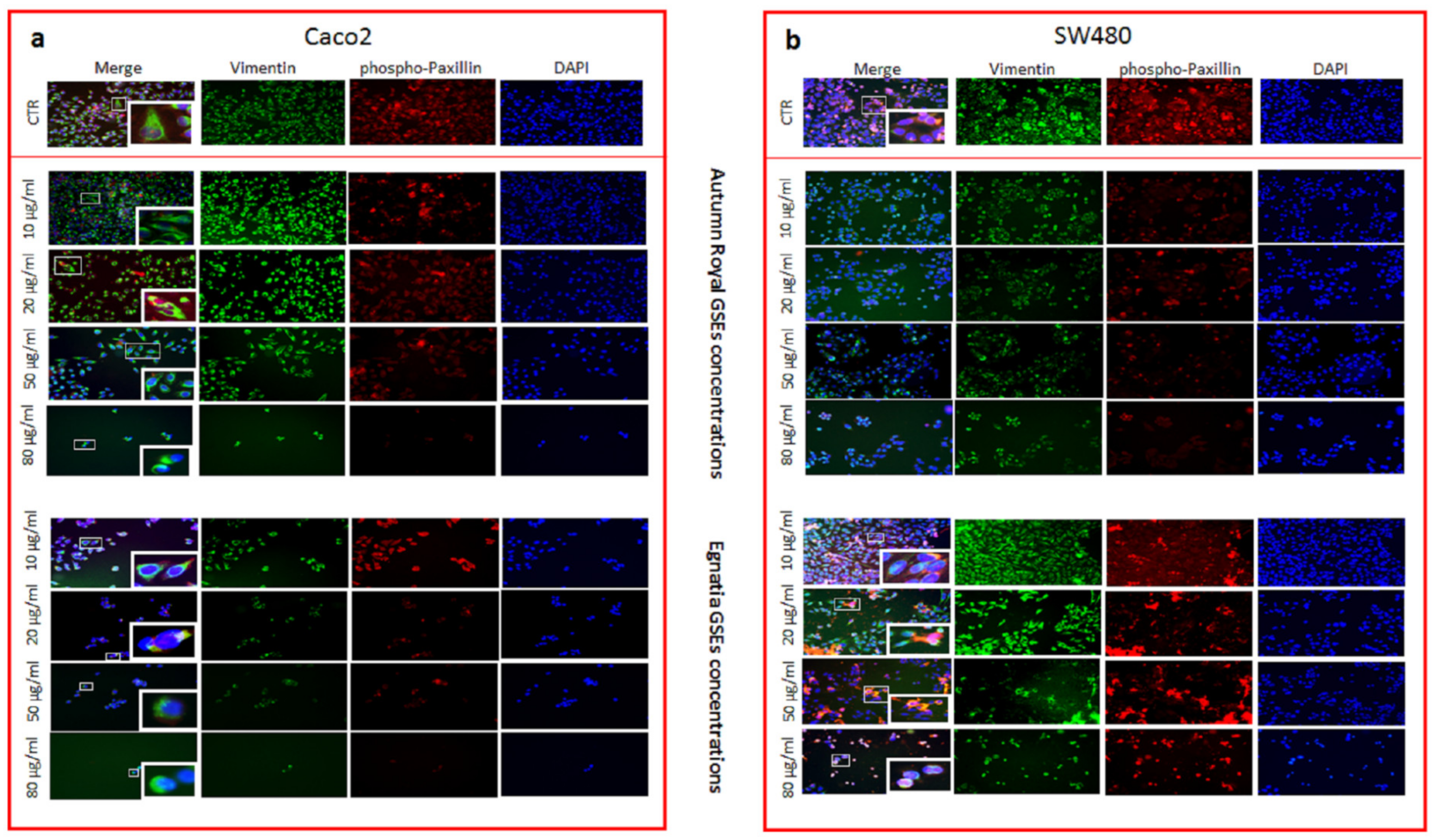 Nutrients 12 00693 g006 Nutrients 12 00693 g006