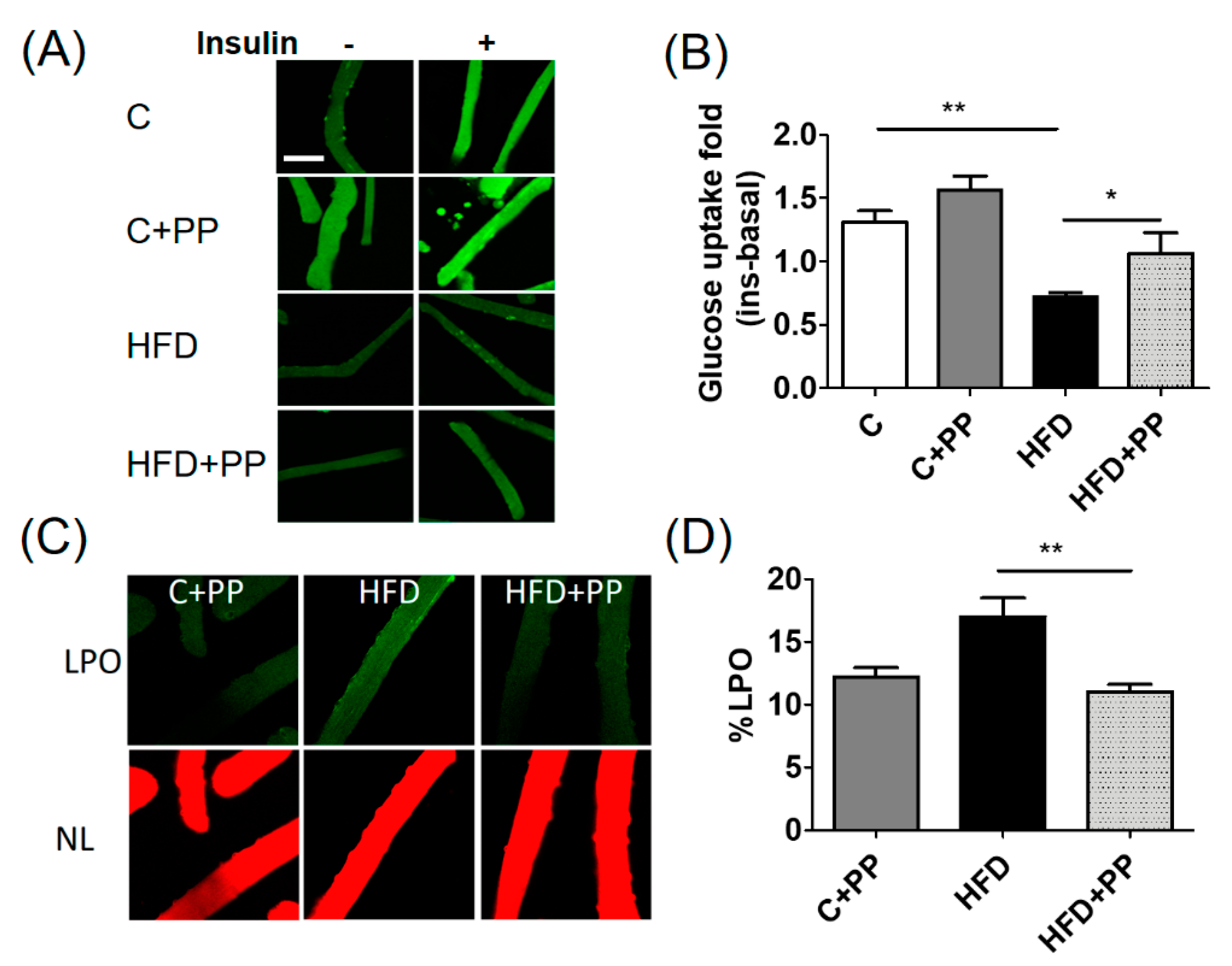 Nutrients 12 00700 g004 Nutrients 12 00700 g004