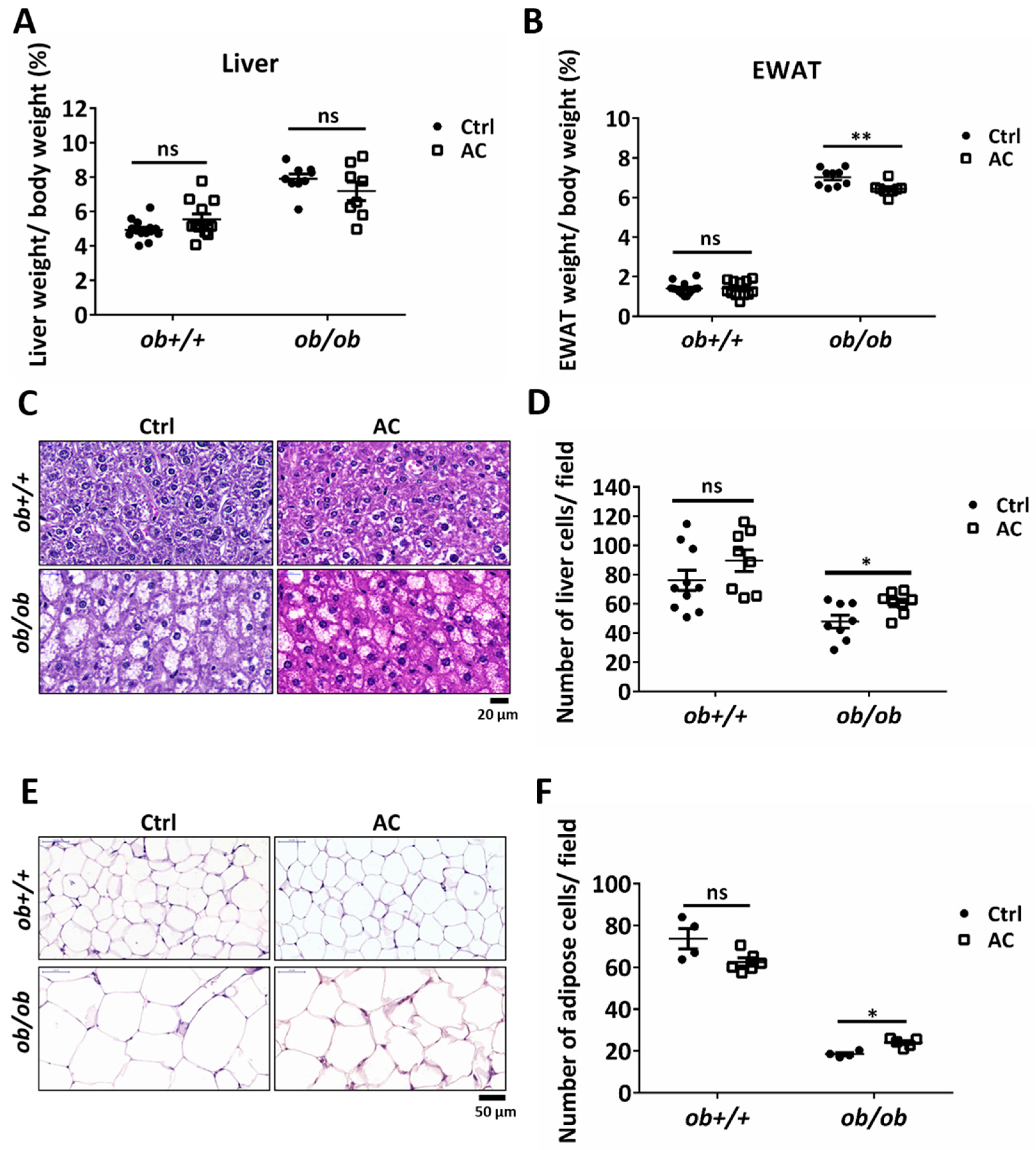 Nutrients 12 00726 g002 Nutrients 12 00726 g002