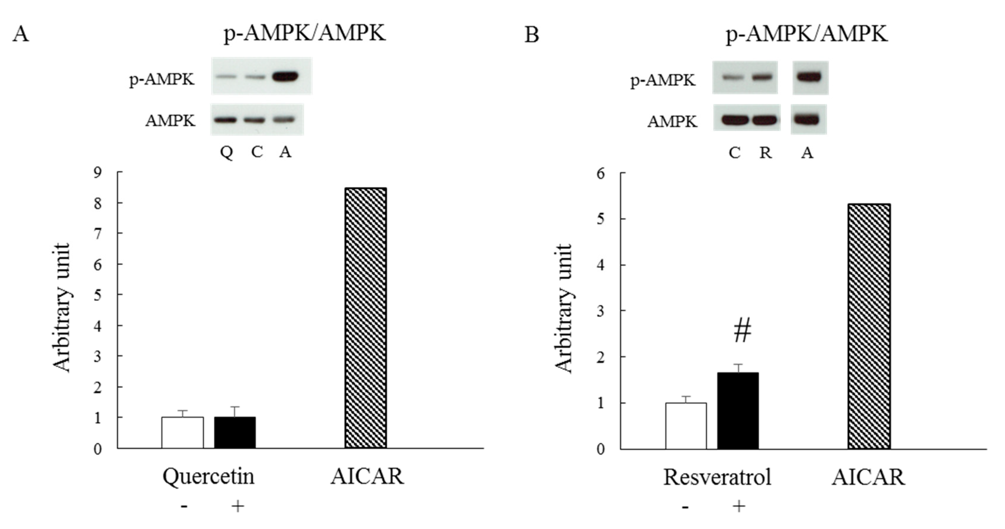 Nutrients 12 00729 g001 Nutrients 12 00729 g001