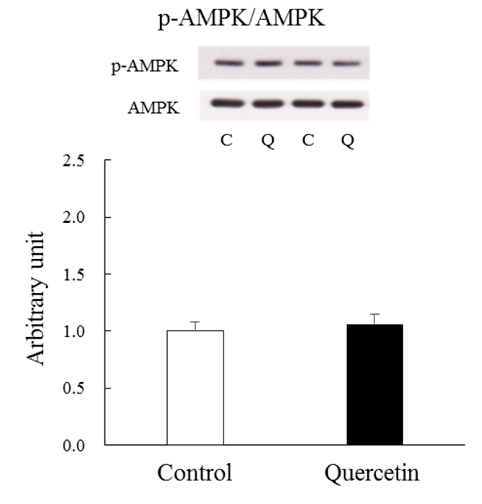 Nutrients 12 00729 g002 Nutrients 12 00729 g002