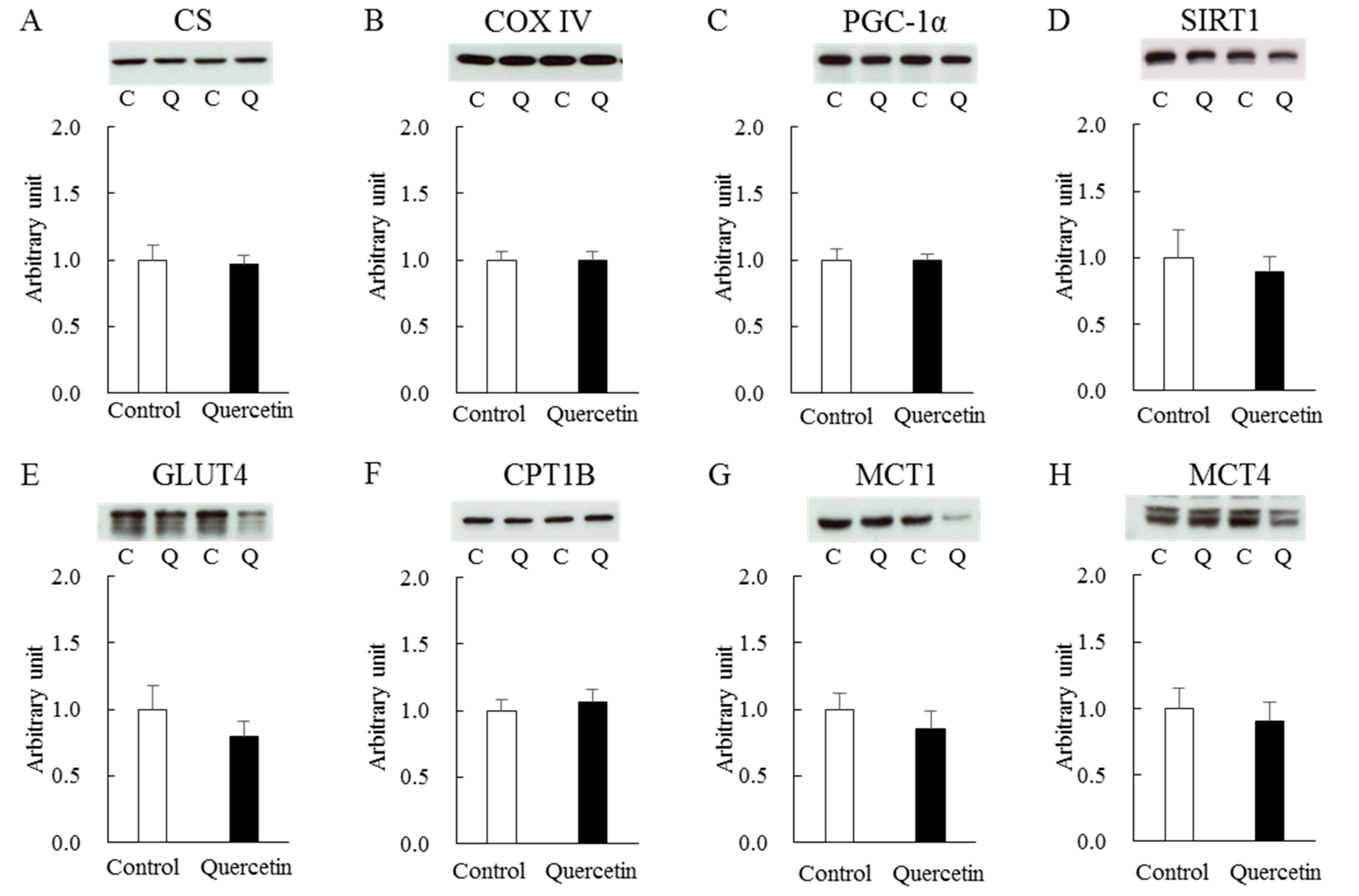 Nutrients 12 00729 g005 Nutrients 12 00729 g005