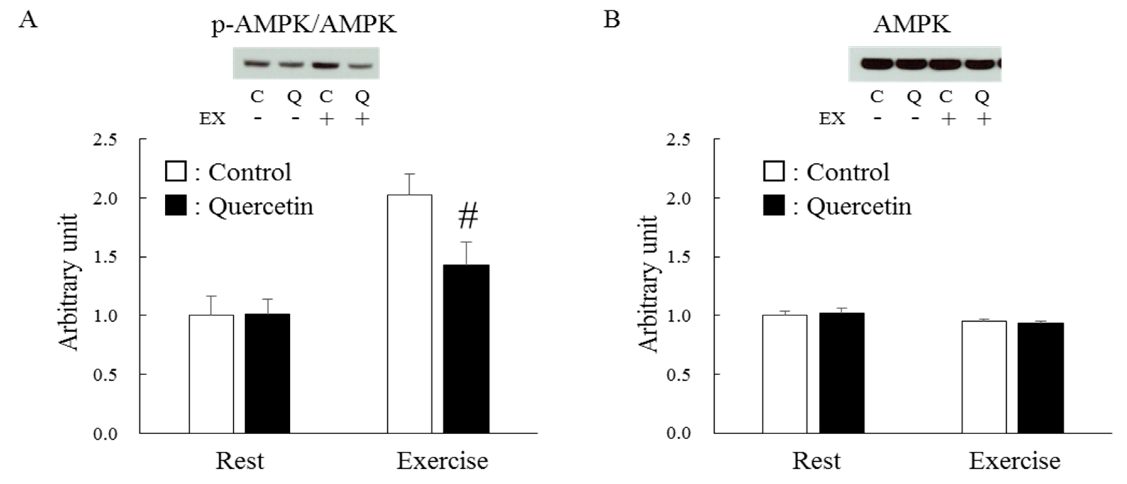 Nutrients 12 00729 g008 Nutrients 12 00729 g008
