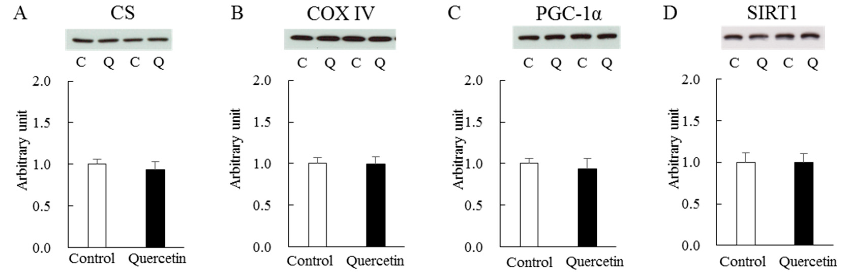 Nutrients 12 00729 g009 Nutrients 12 00729 g009