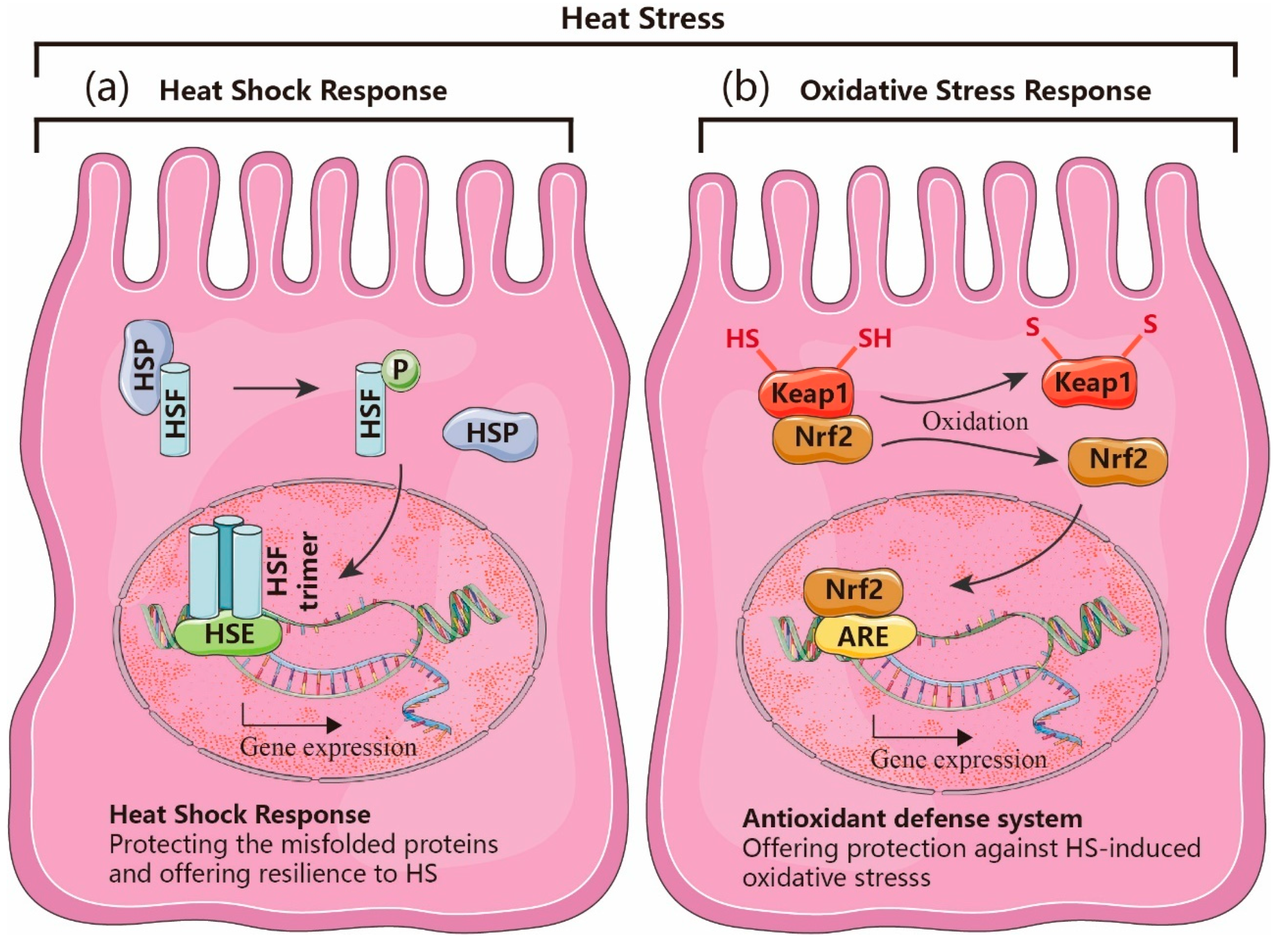 Nutrients 12 00734 g002 Nutrients 12 00734 g002