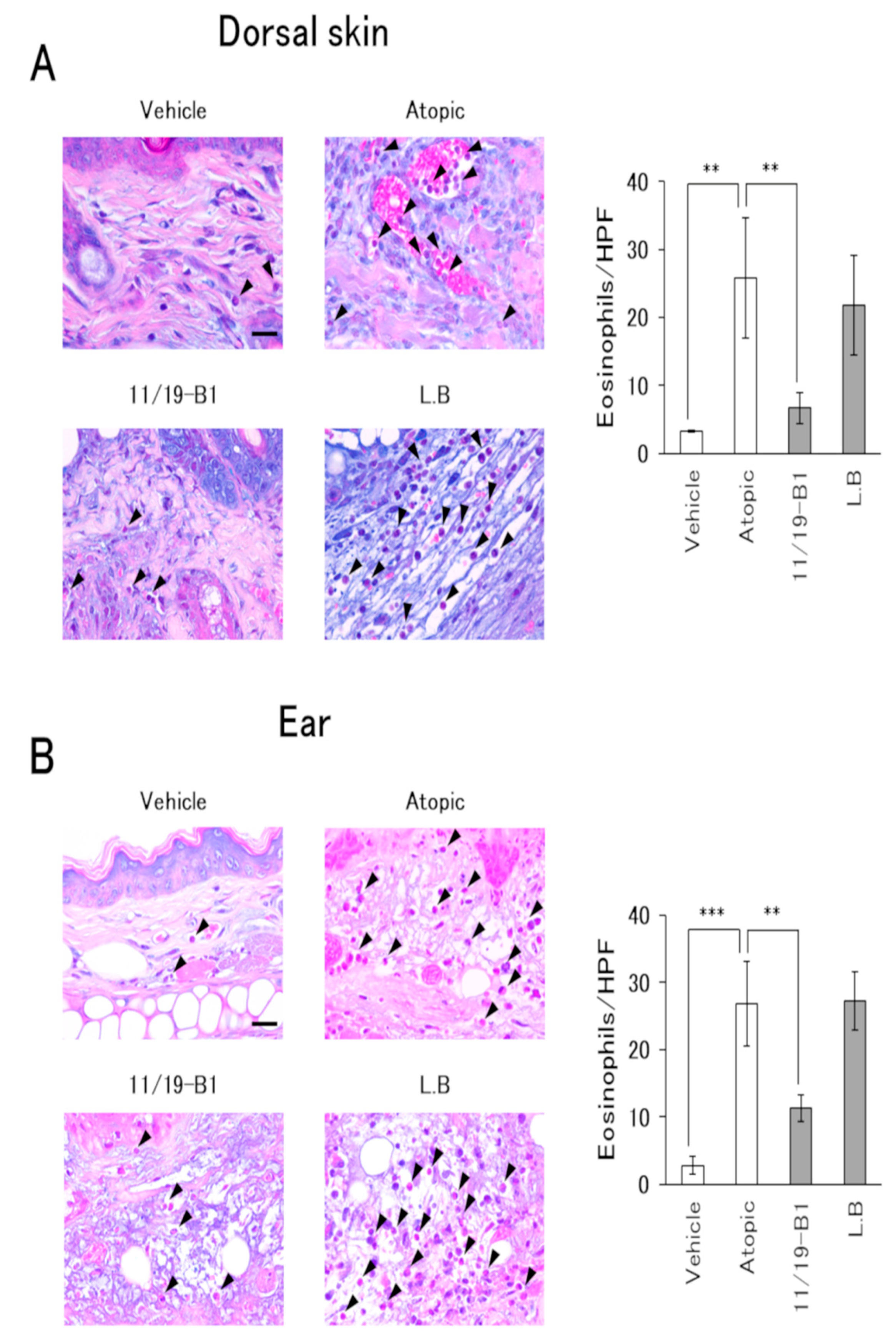 Nutrients 12 00763 g005 Nutrients 12 00763 g005
