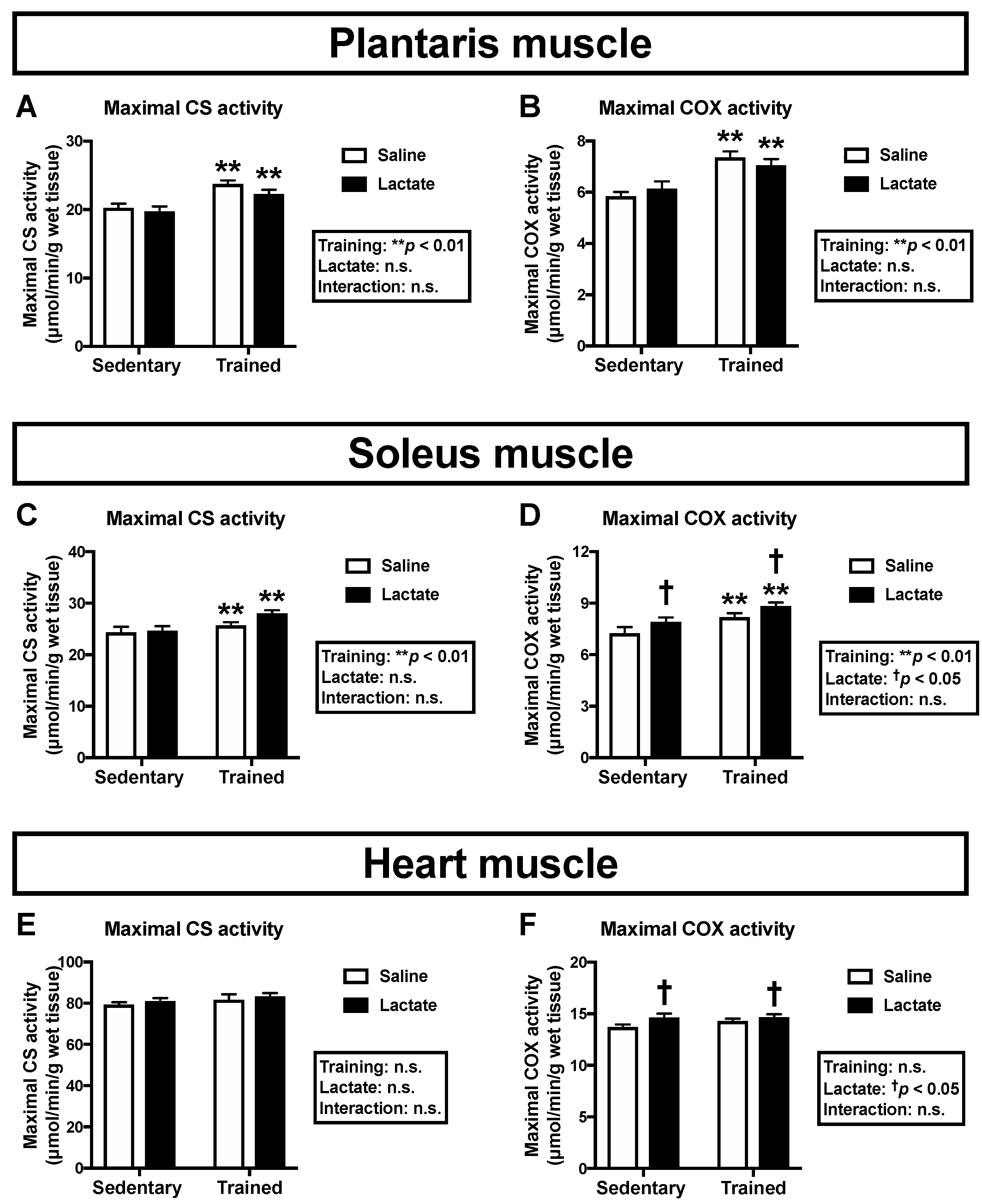 Nutrients 12 00770 g002 Nutrients 12 00770 g002