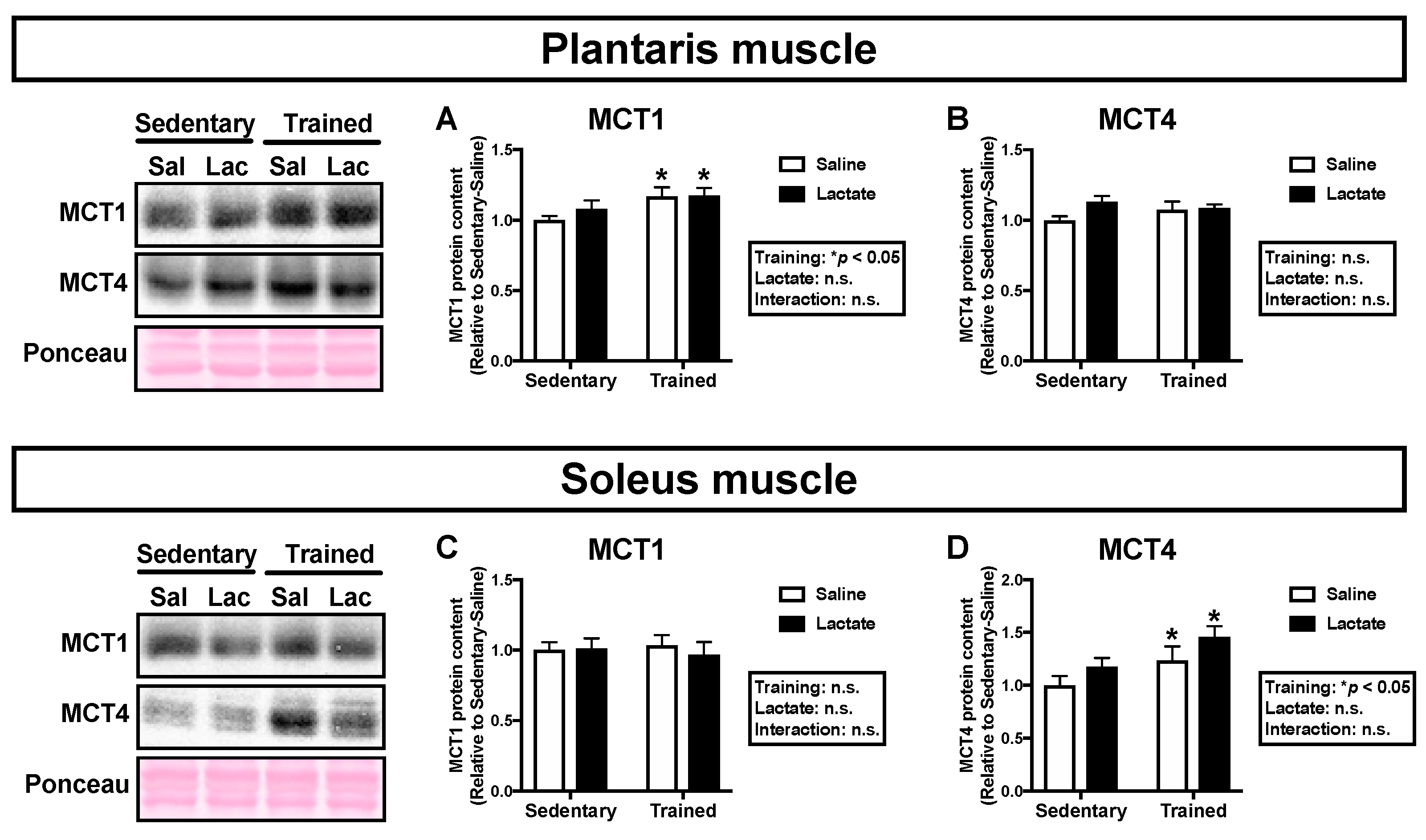 Nutrients 12 00770 g003 Nutrients 12 00770 g003