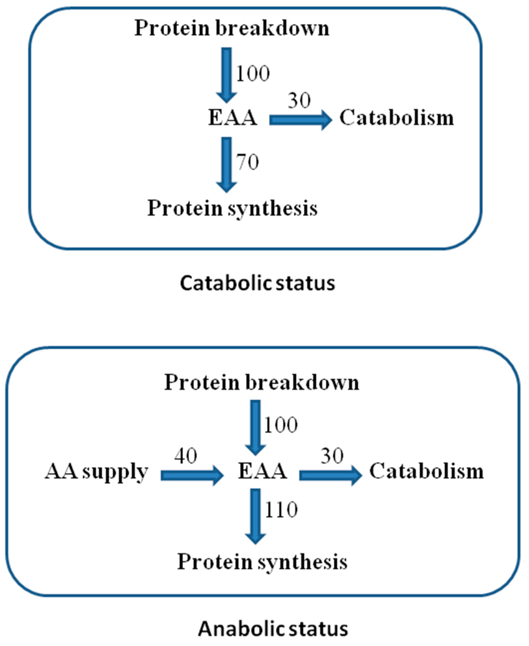 Nutrients 12 00772 g002