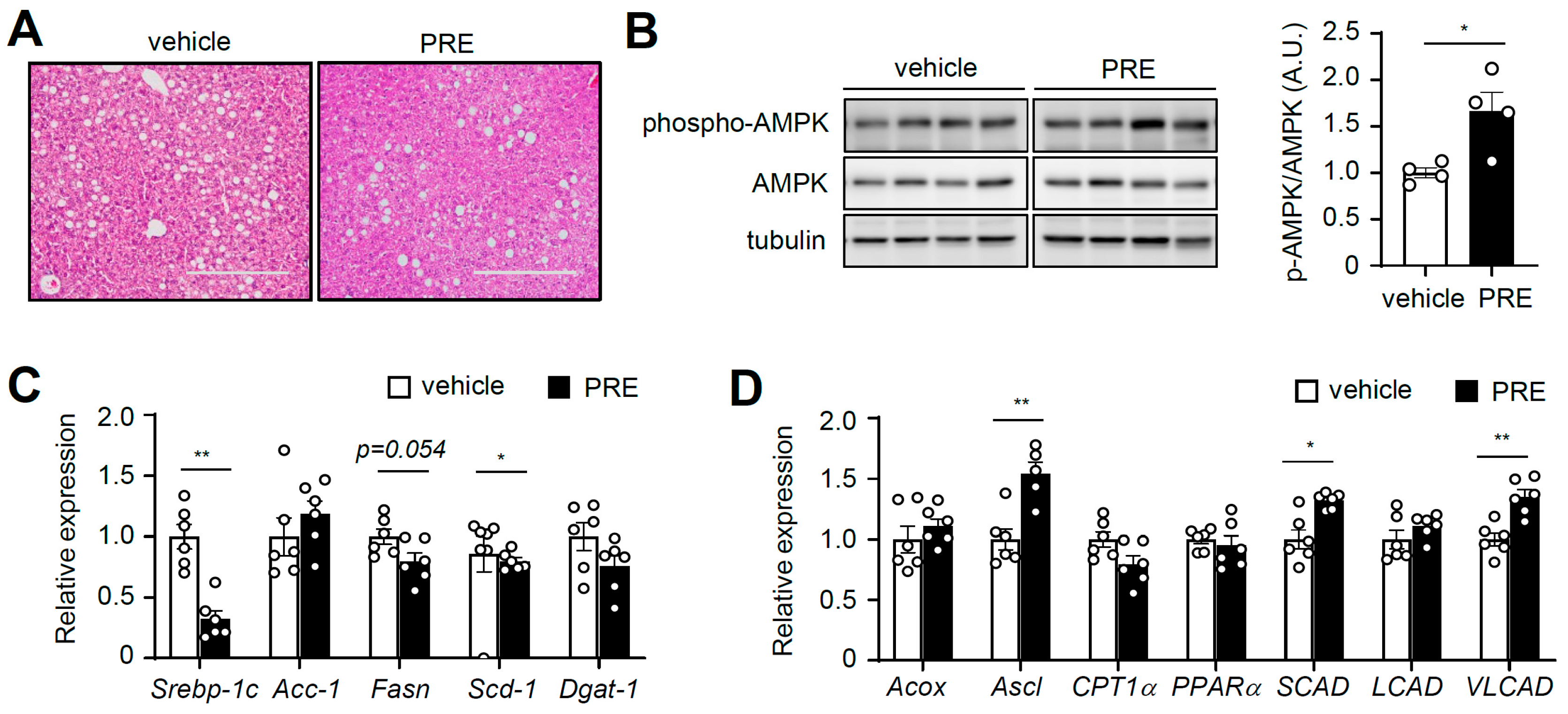 Nutrients 12 00773 g005