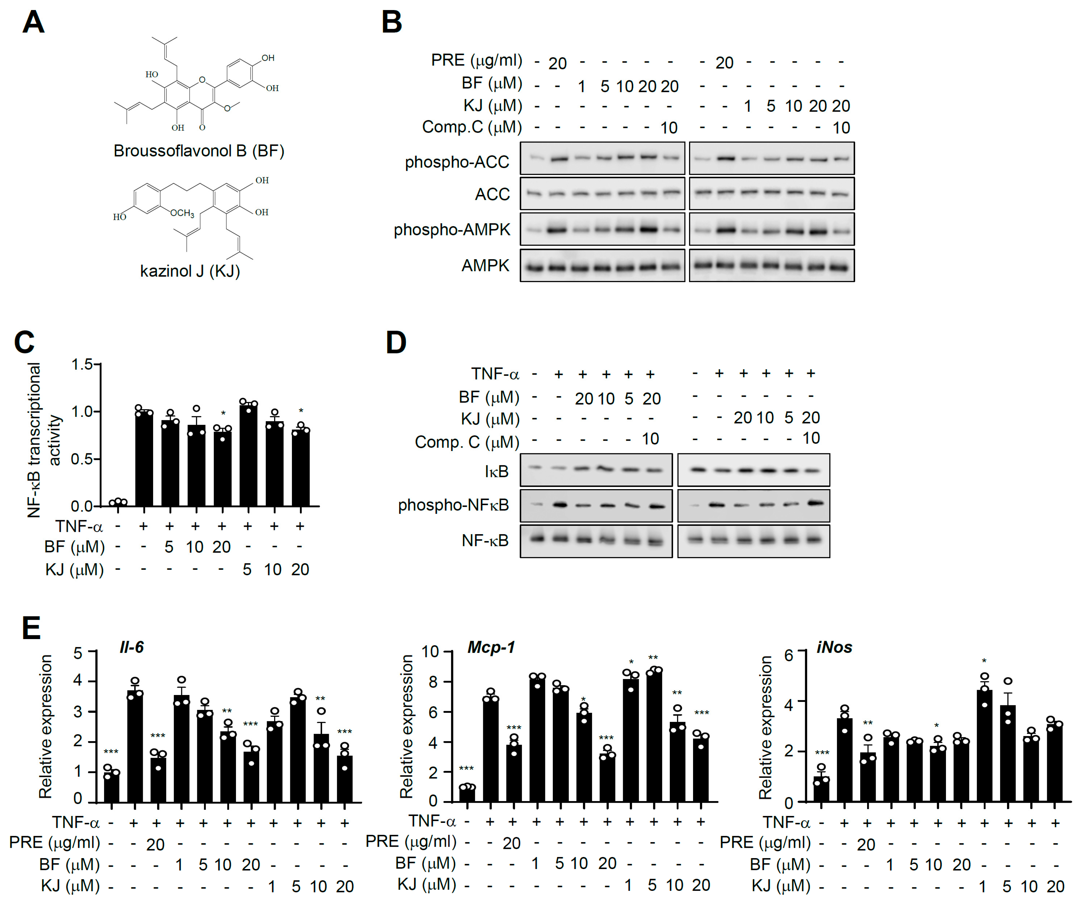 Nutrients 12 00773 g006