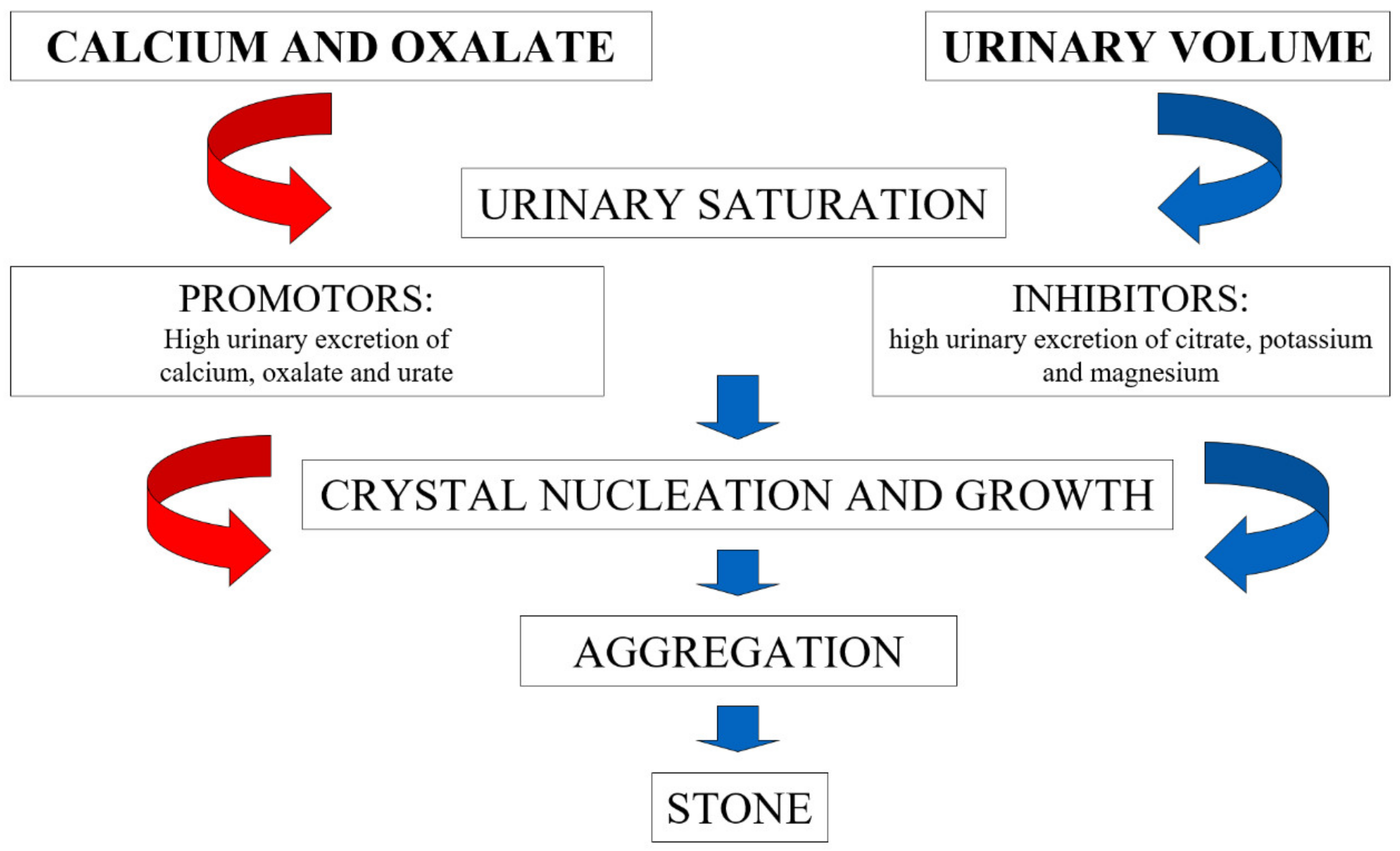 Nutrients Free Full Text Risk of Kidney Stones Influence of
