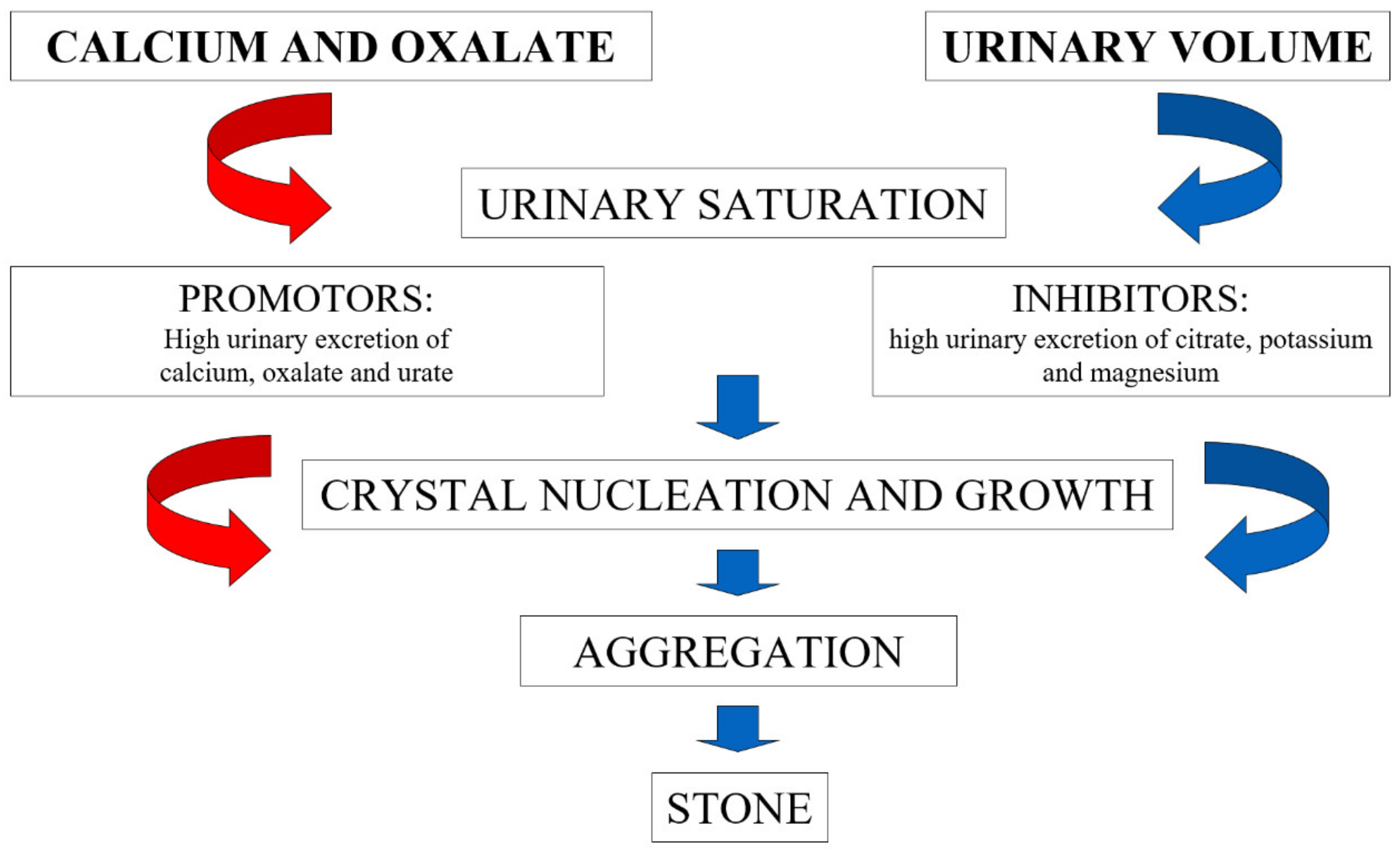 Potassium Citrate in Food & Drinks - The Kidney Dietitian