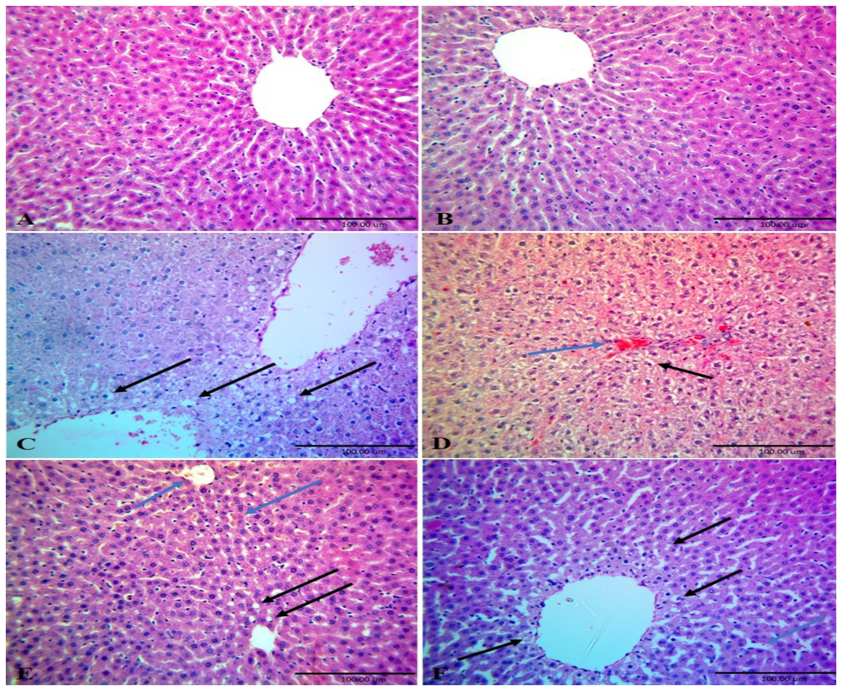 Nutrients 12 00803 g004