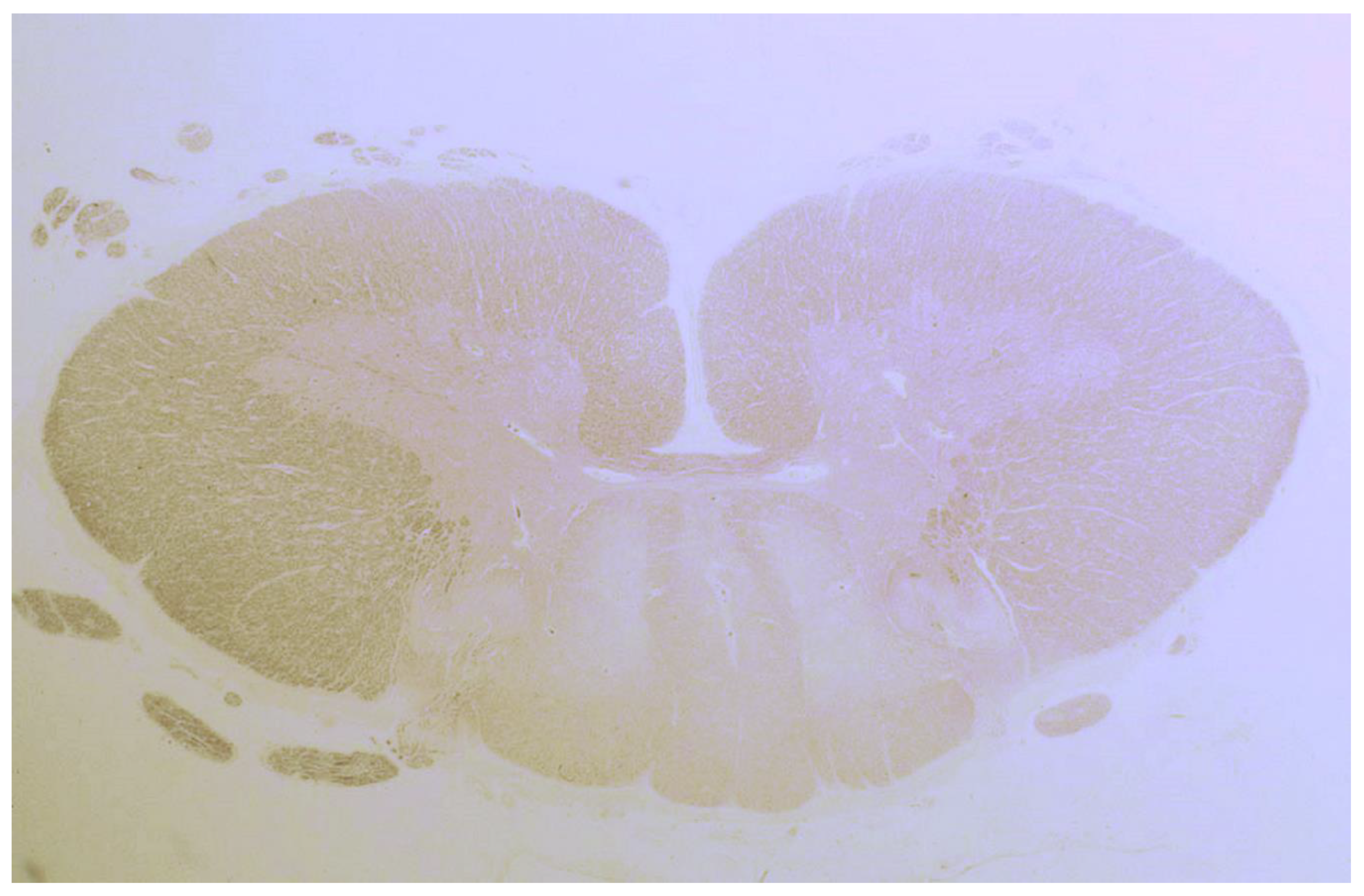 Nutrients 12 00822 g003