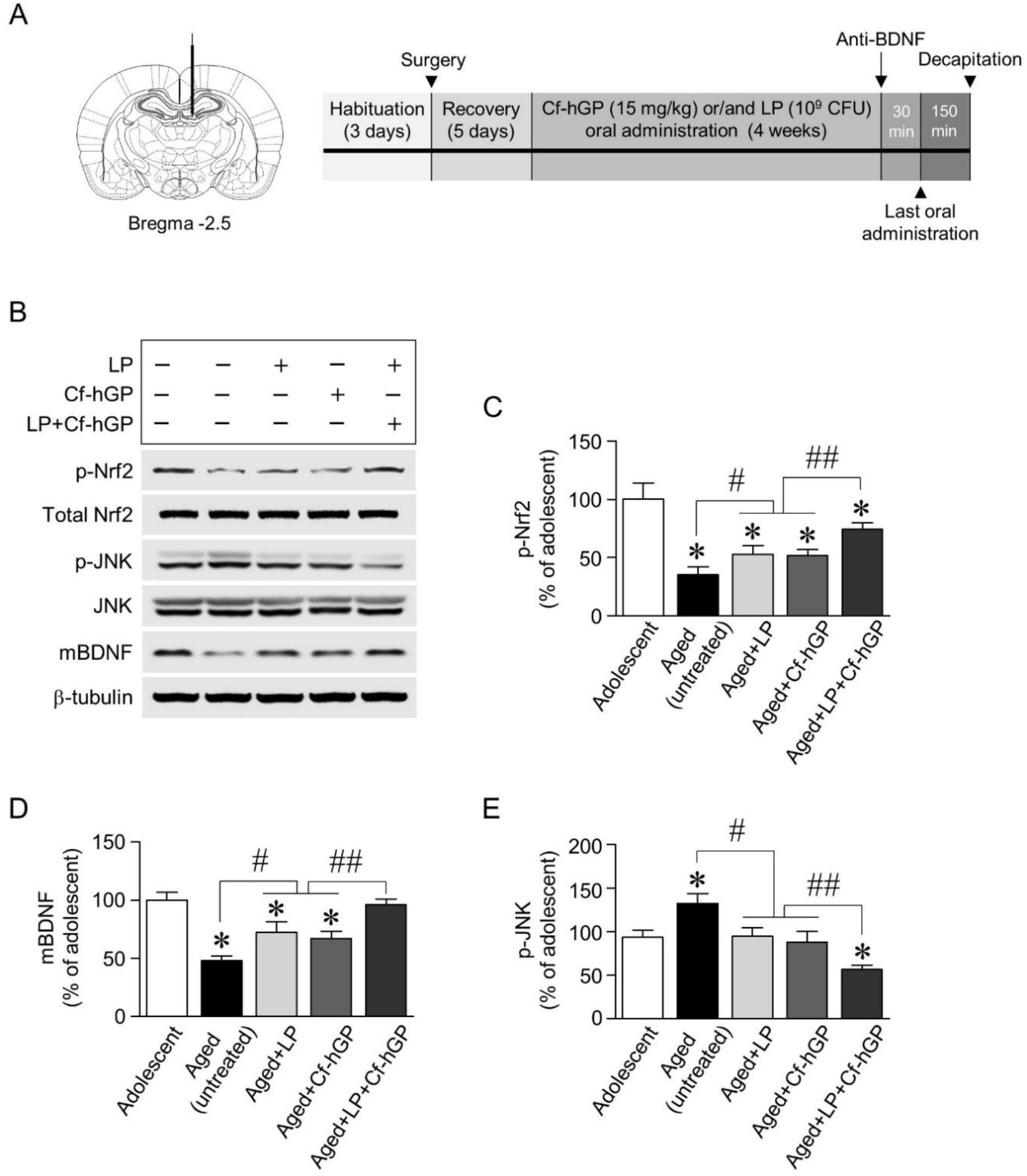 Nutrients 12 00837 g002 Nutrients 12 00837 g002