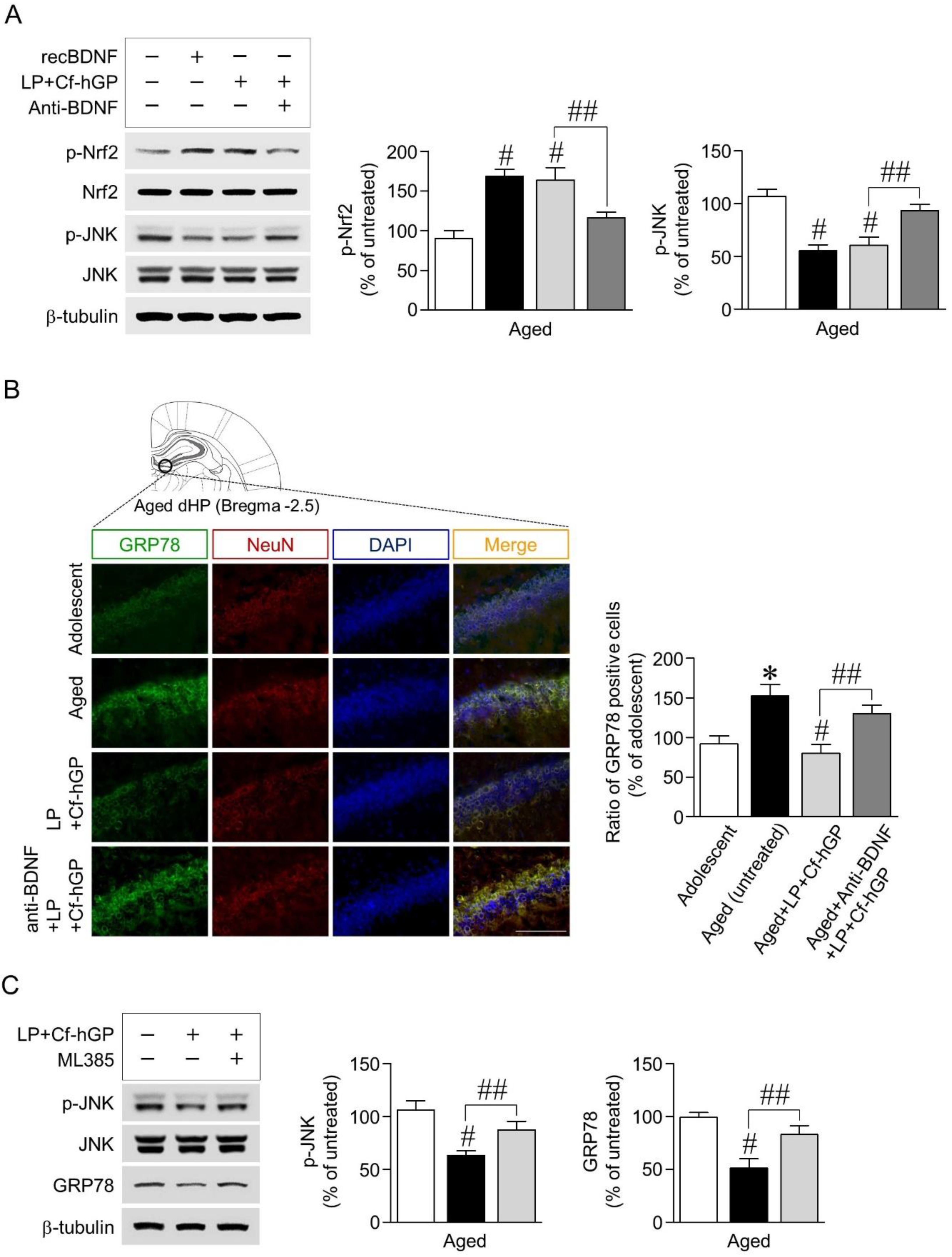 Nutrients 12 00837 g003 Nutrients 12 00837 g003