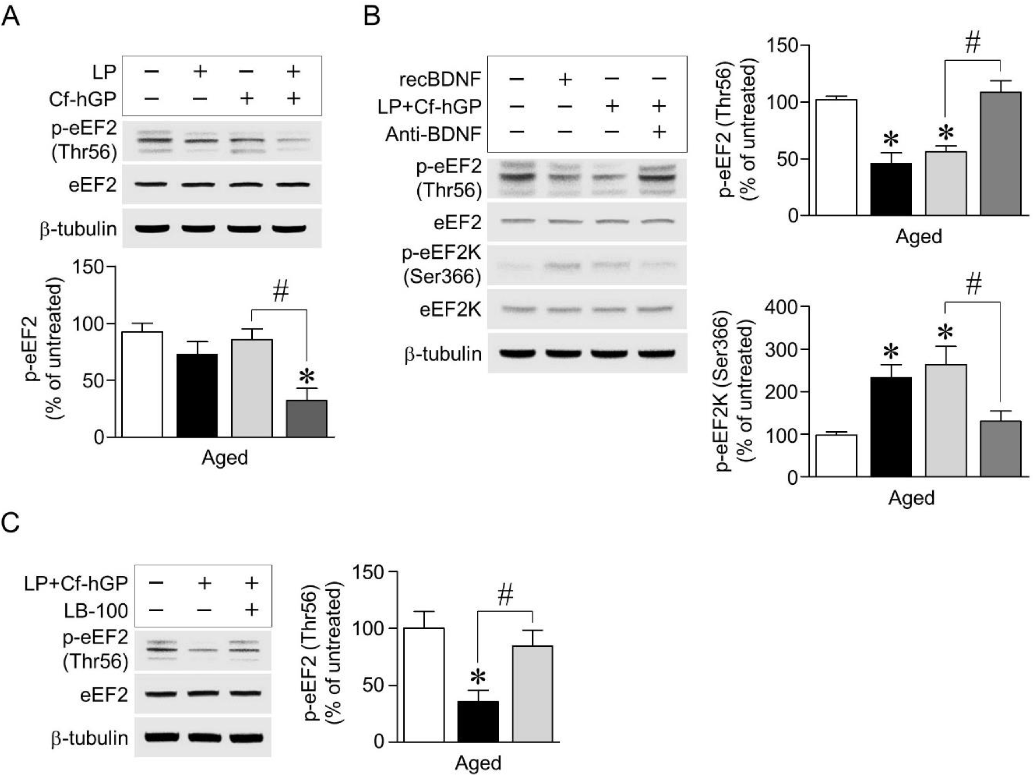 Nutrients 12 00837 g004 Nutrients 12 00837 g004
