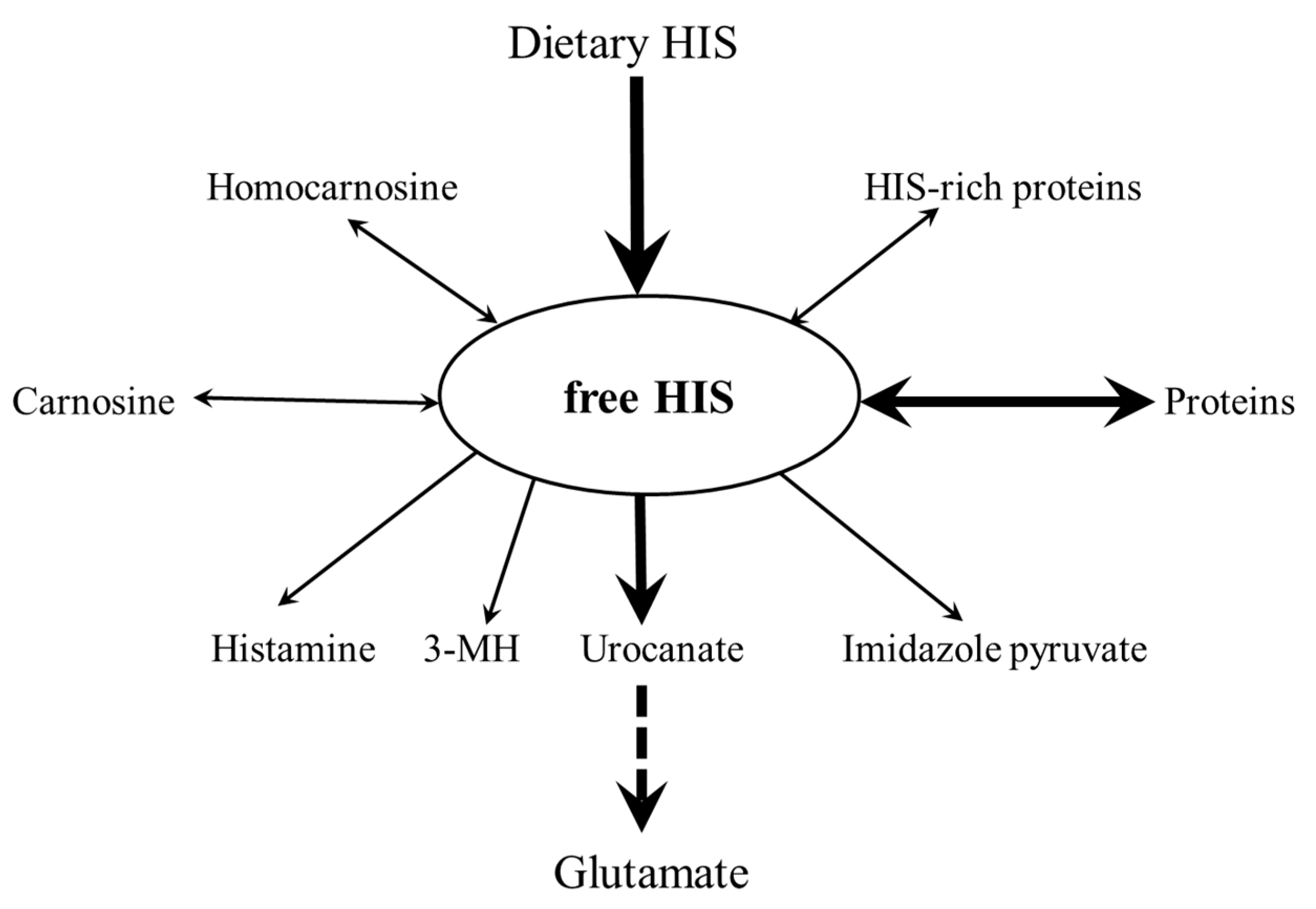 Nutrients 12 00848 g002 Nutrients 12 00848 g002