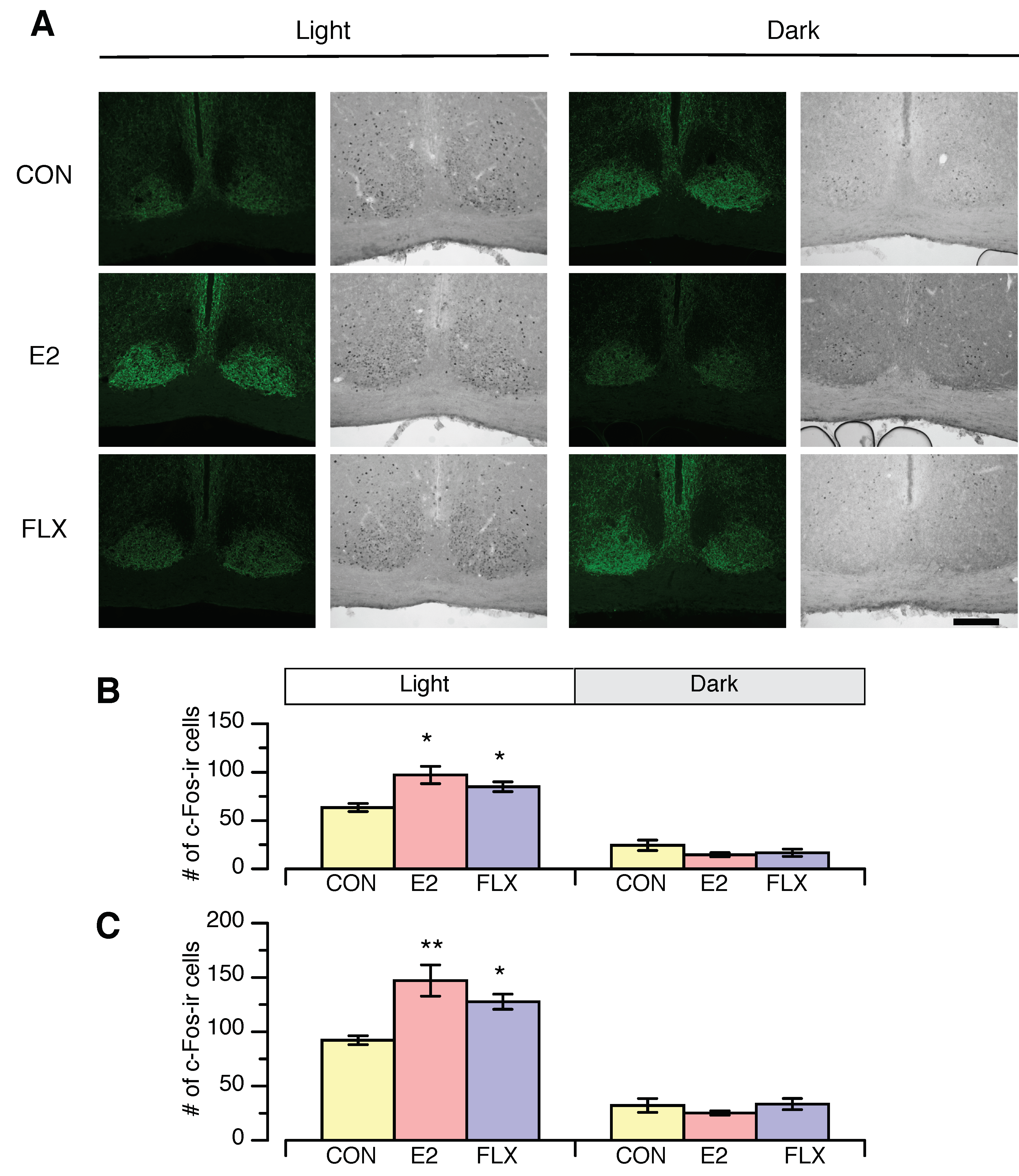 Nutrients 12 00849 g005 Nutrients 12 00849 g005