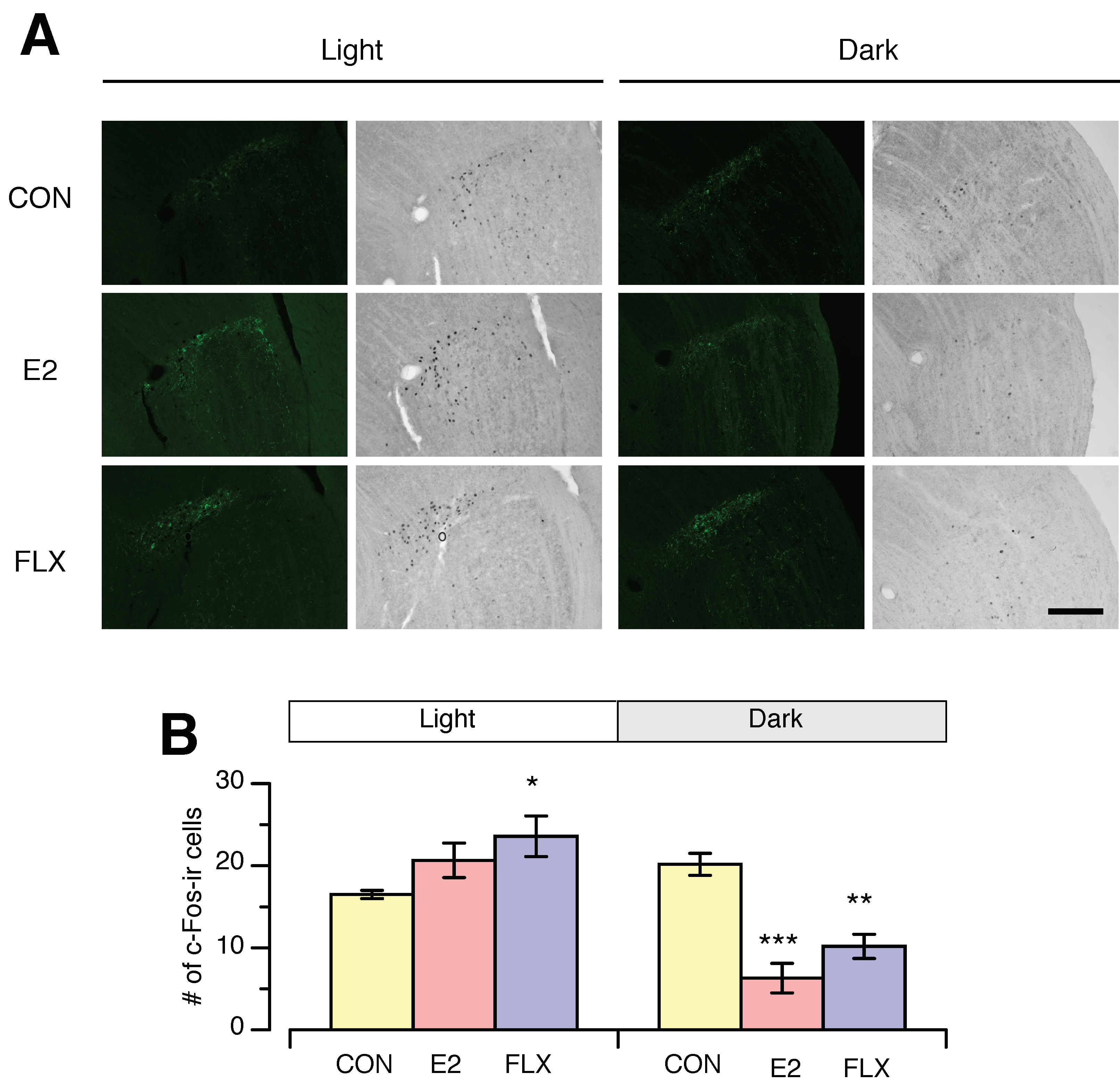 Nutrients 12 00849 g006 Nutrients 12 00849 g006