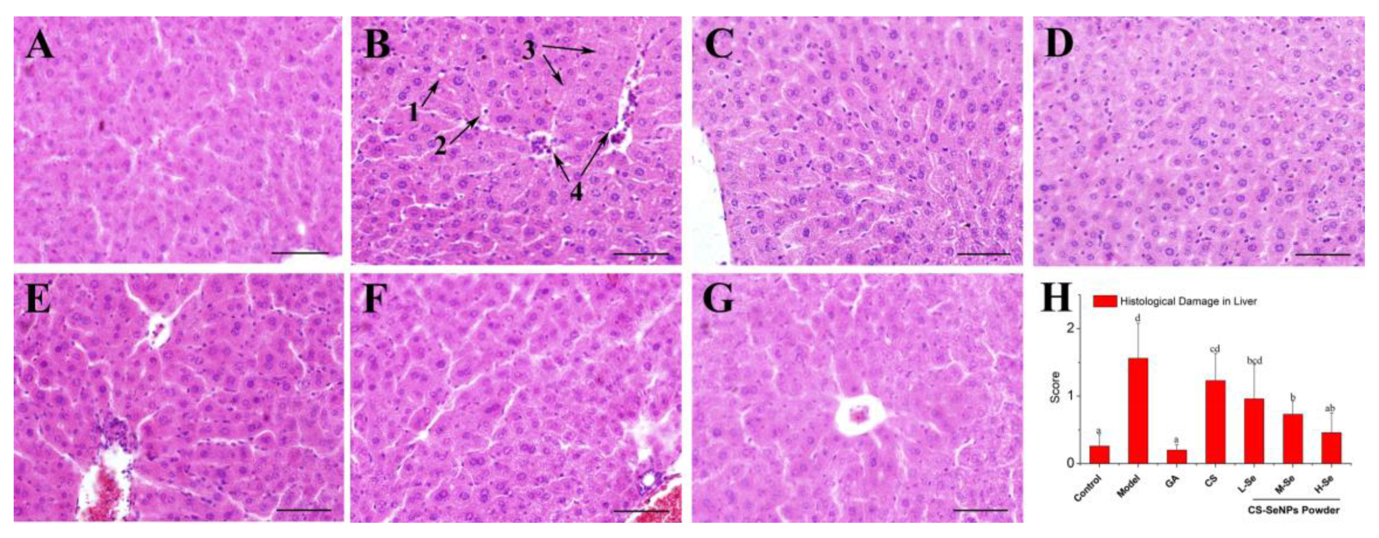 Nutrients 12 00857 g005 Nutrients 12 00857 g005