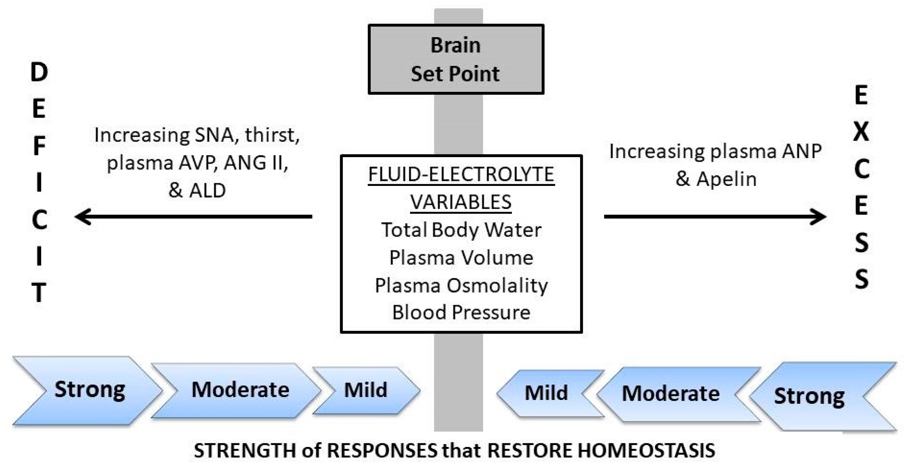 Nutrients 12 00858 g001