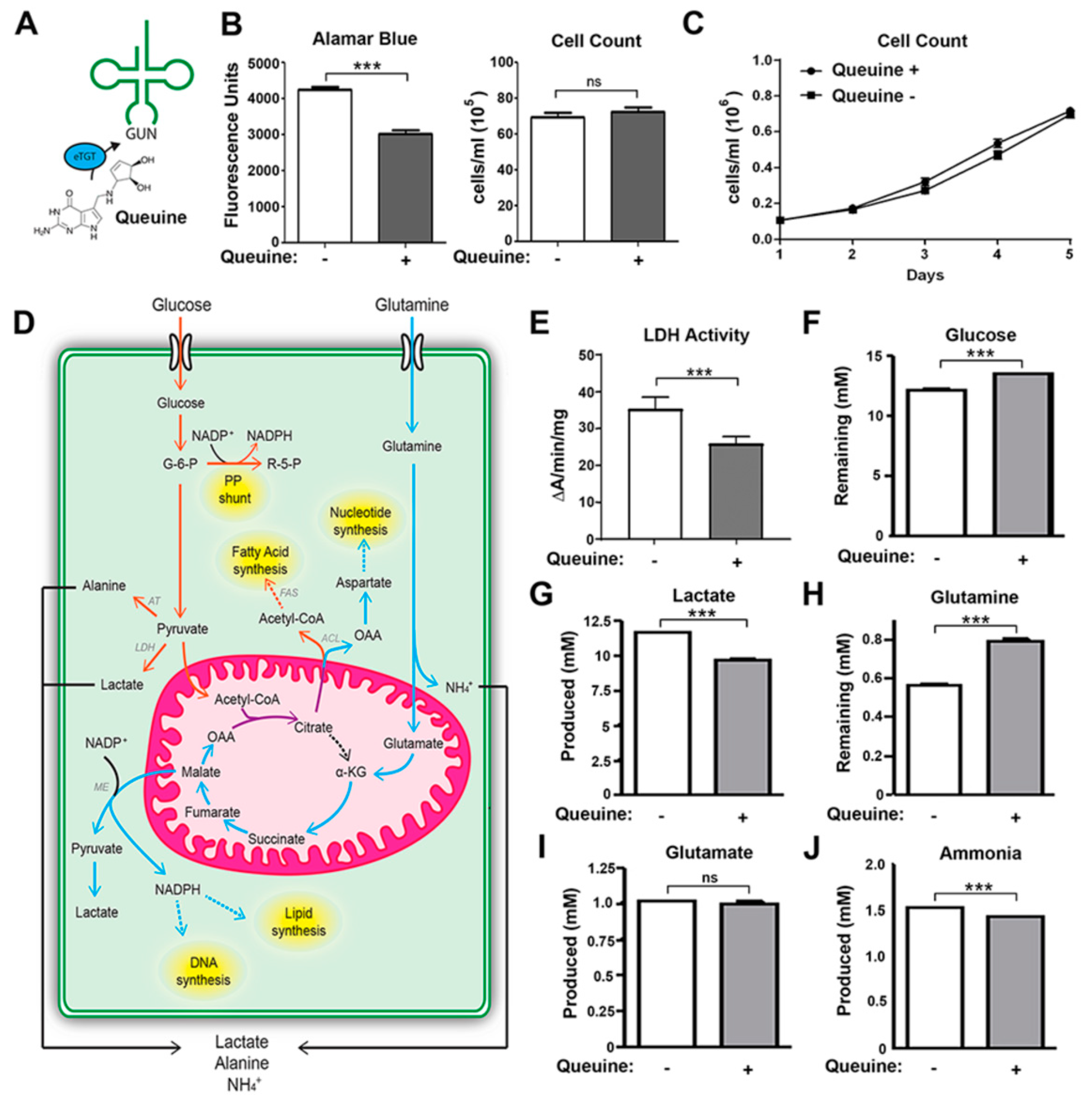 Nutrients 12 00871 g001