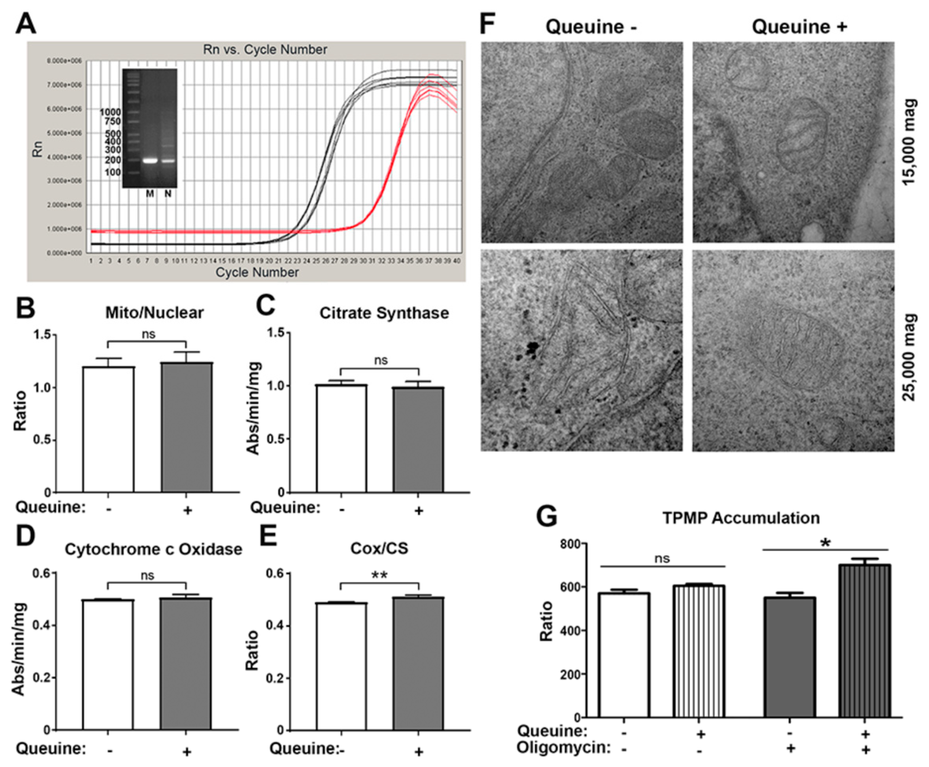 Nutrients 12 00871 g002