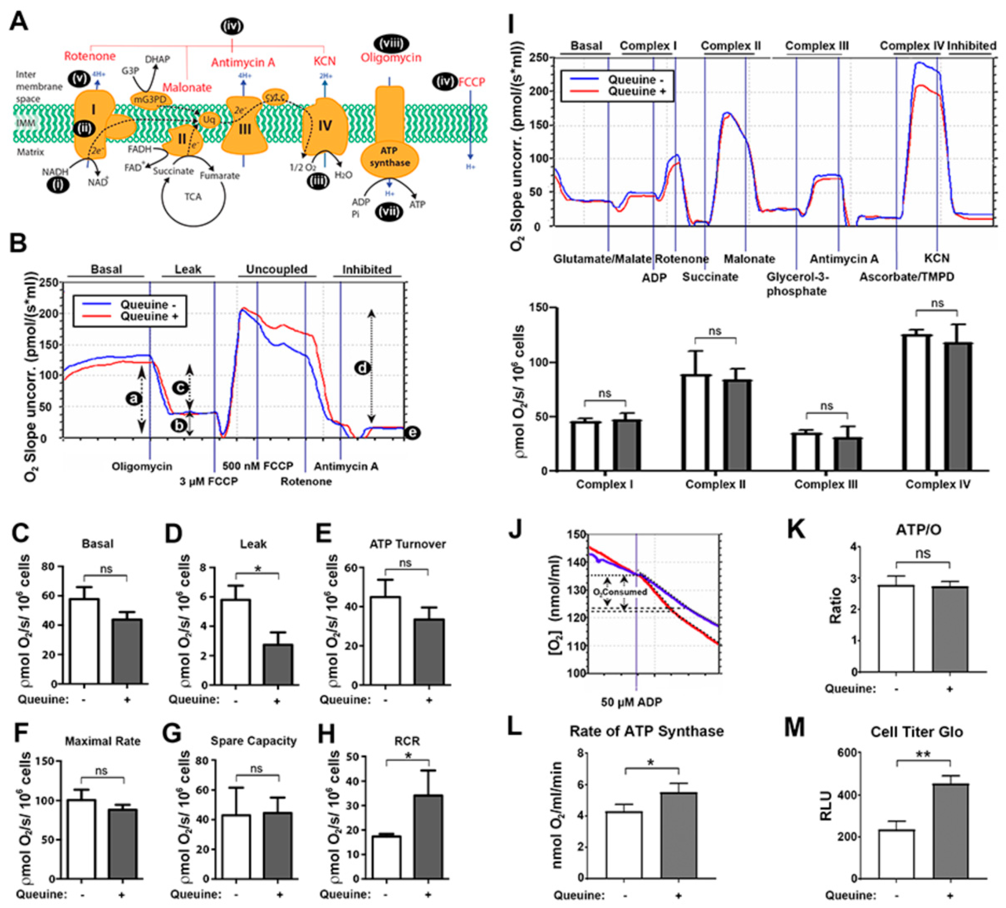 Nutrients 12 00871 g003