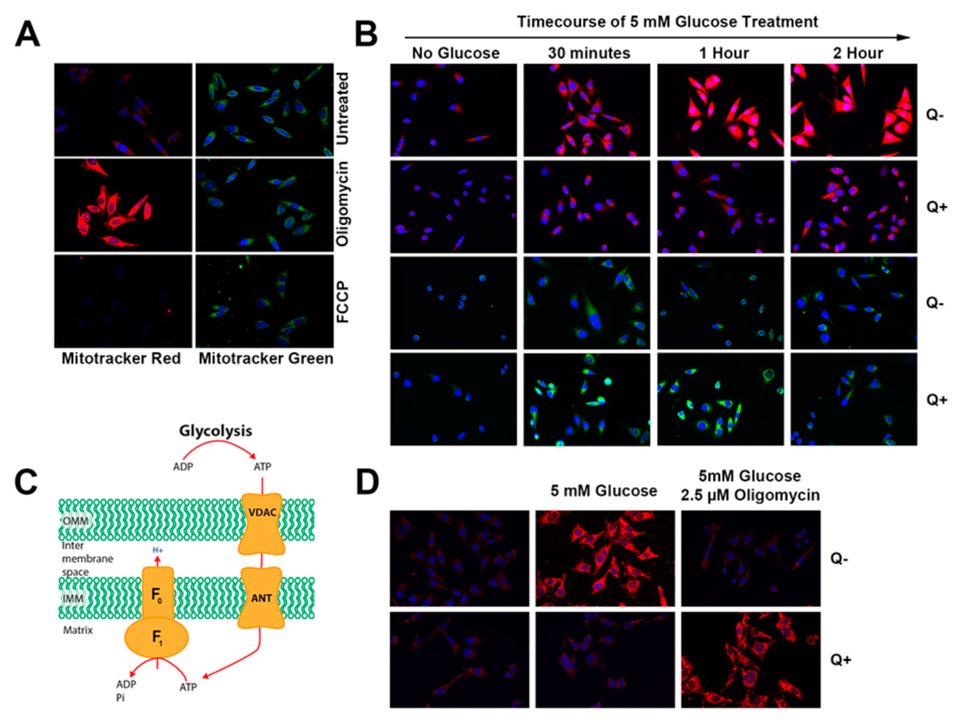Nutrients 12 00871 g004