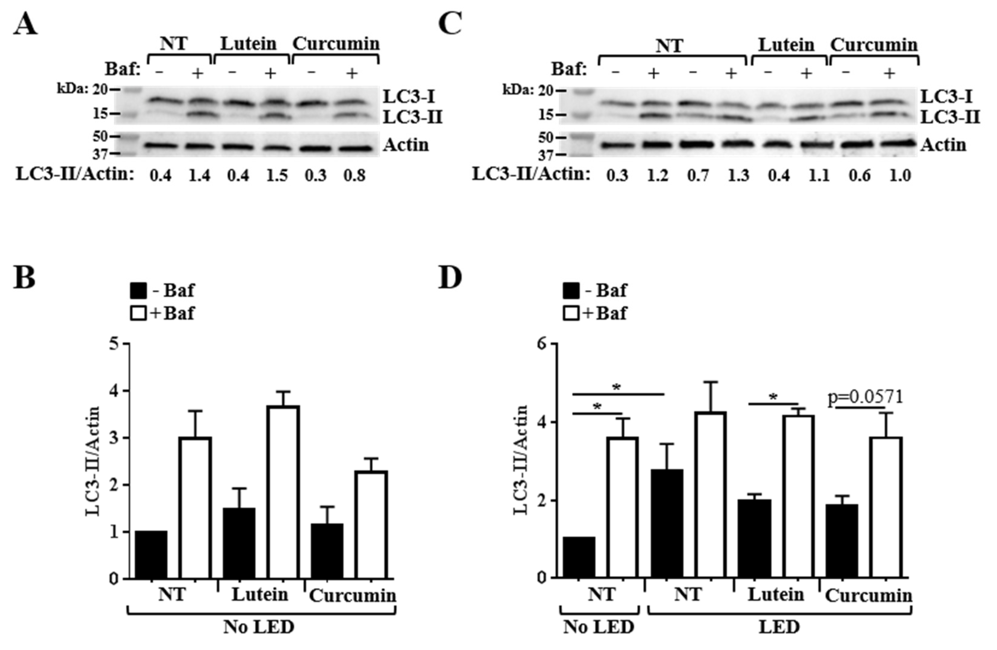 Nutrients 12 00879 g008 Nutrients 12 00879 g008