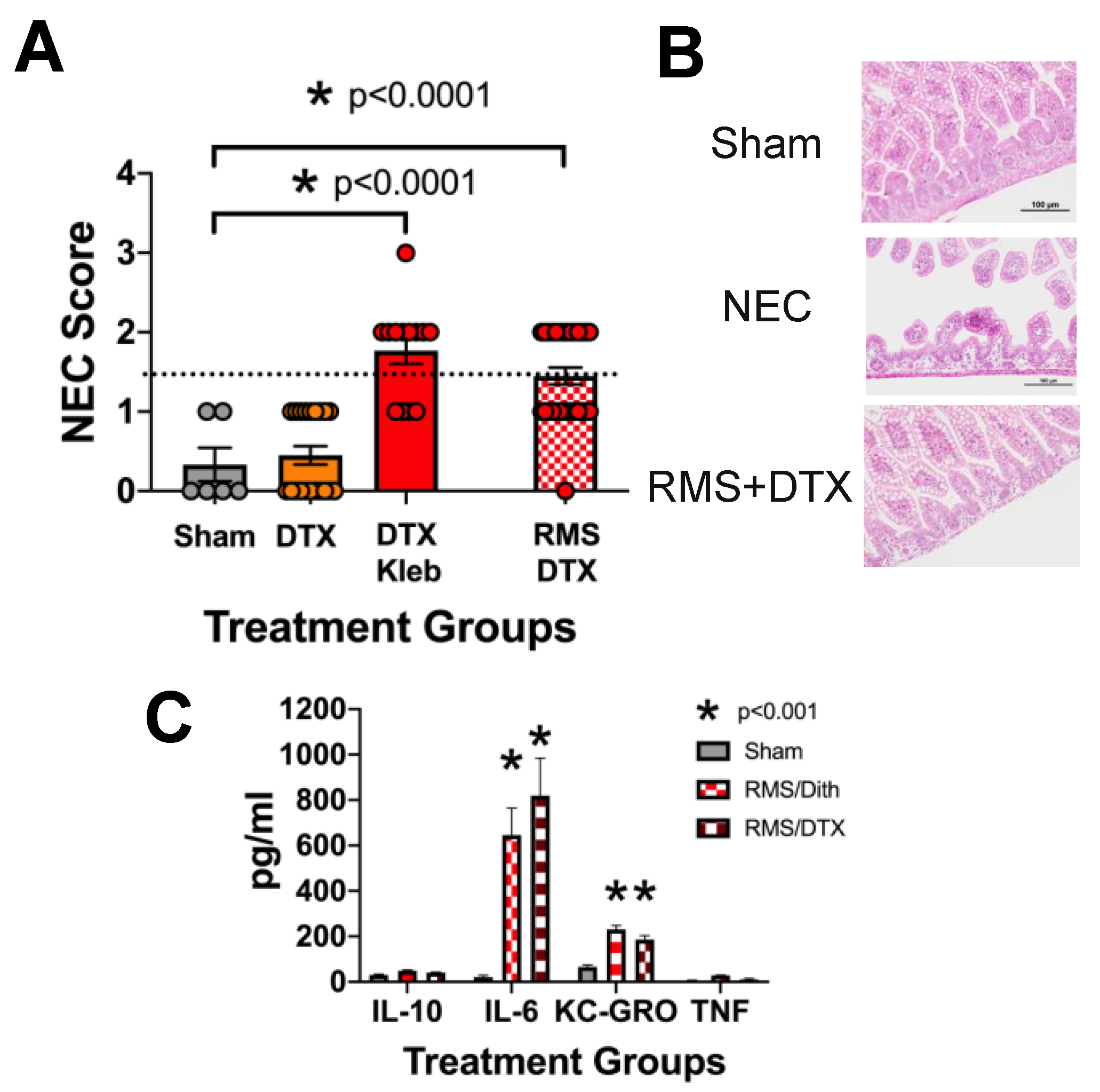 Nutrients 12 00900 g002 Nutrients 12 00900 g002