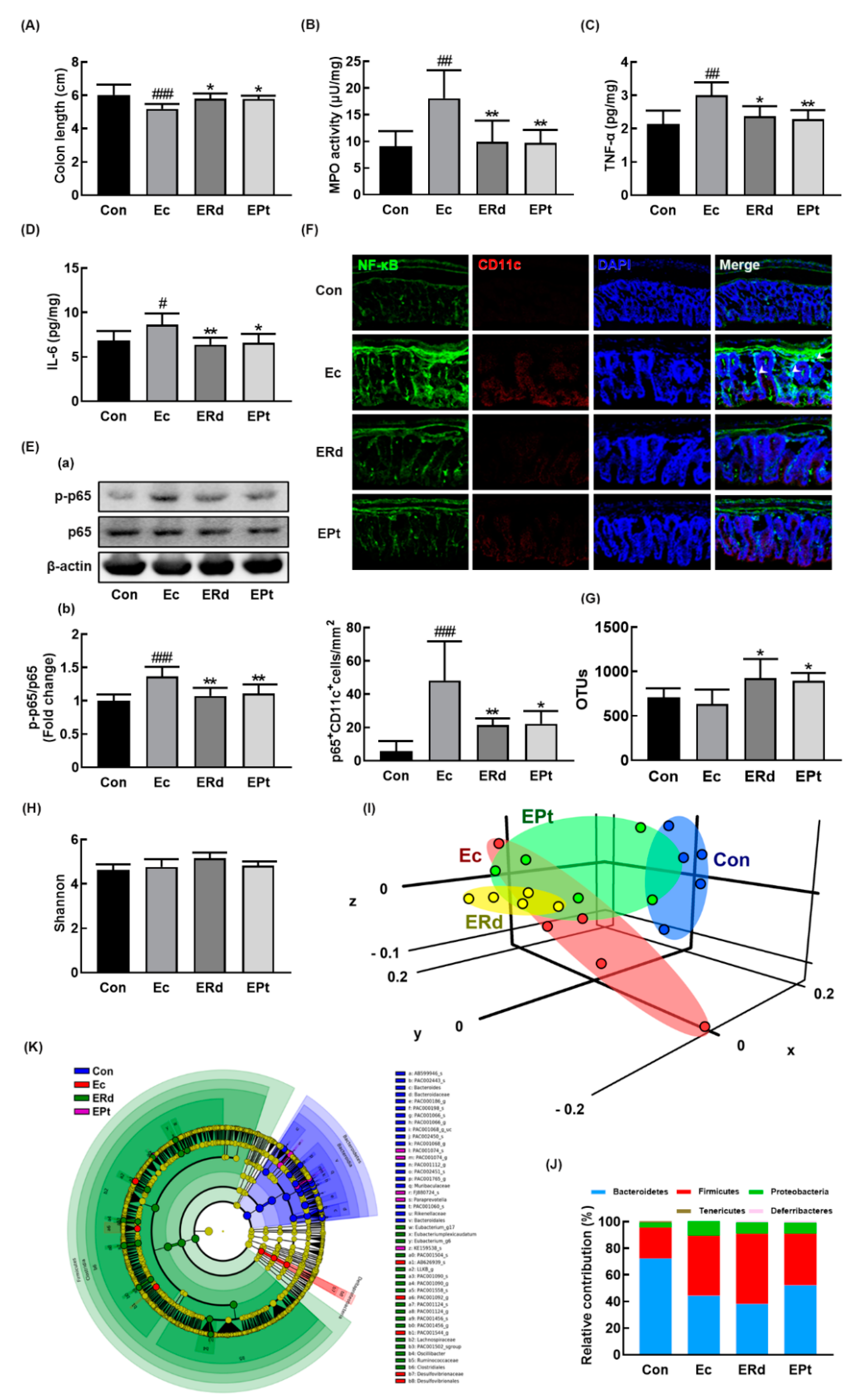 Nutrients 12 00901 g005
