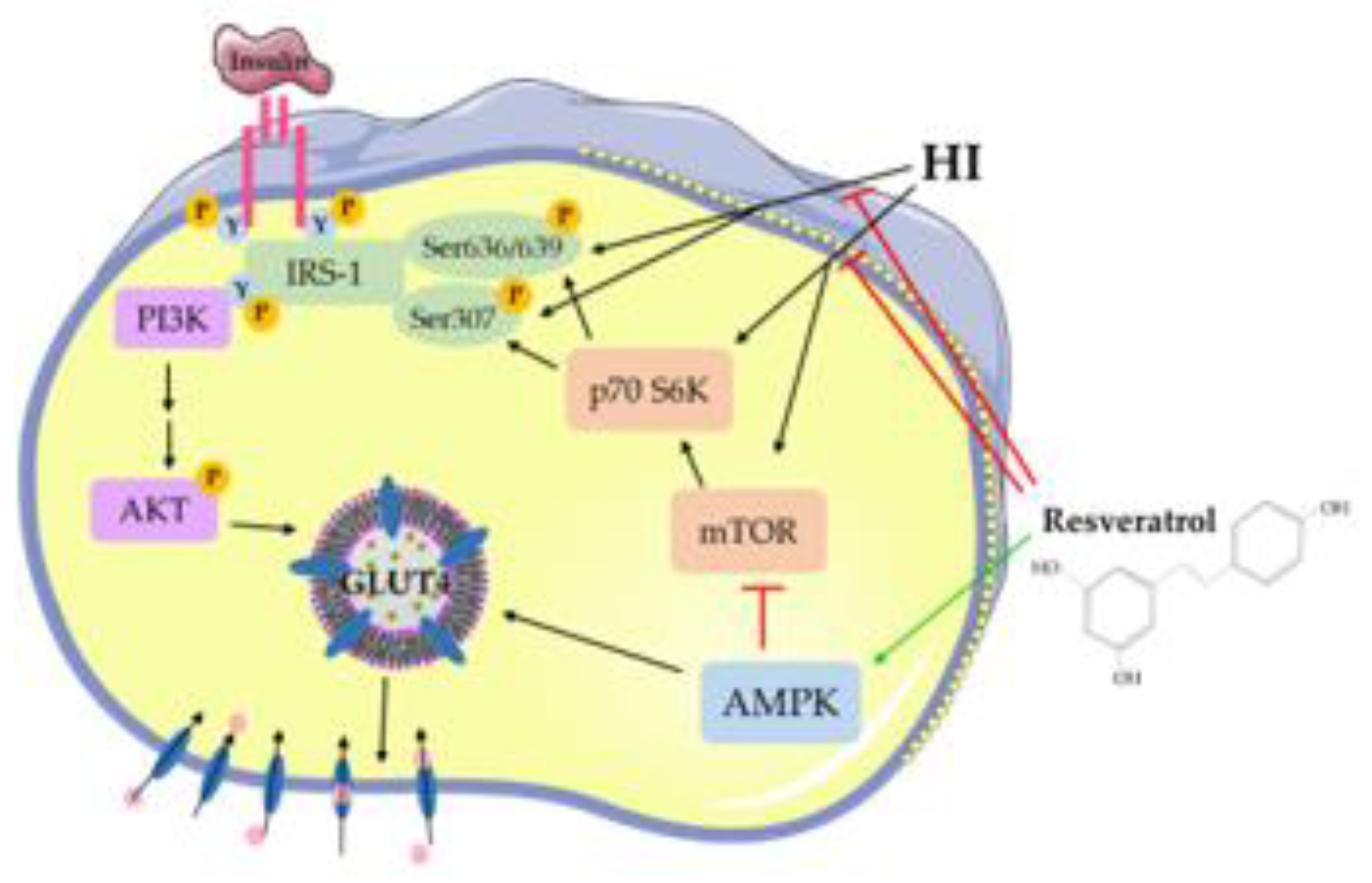 Nutrients 12 00914 g007 Nutrients 12 00914 g007