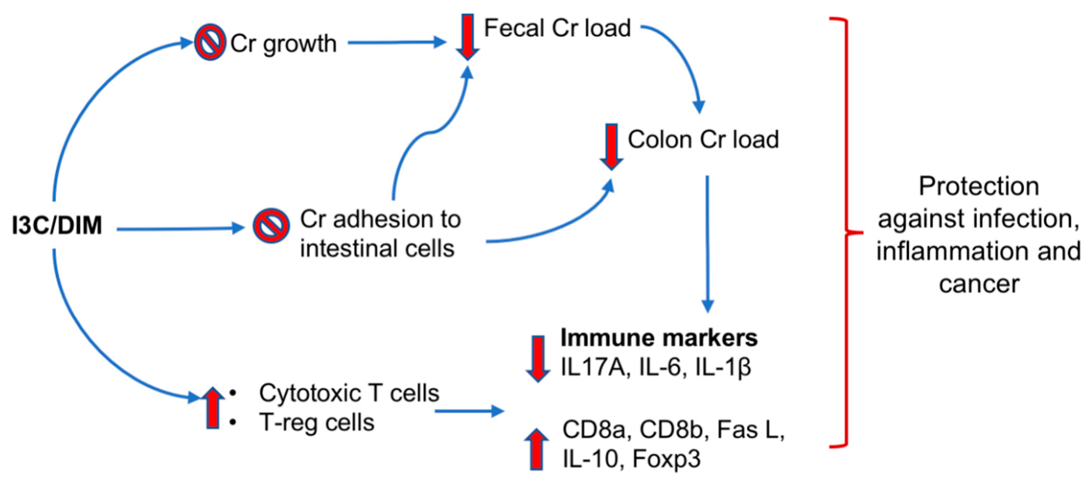 Nutrients 12 00917 g008 Nutrients 12 00917 g008