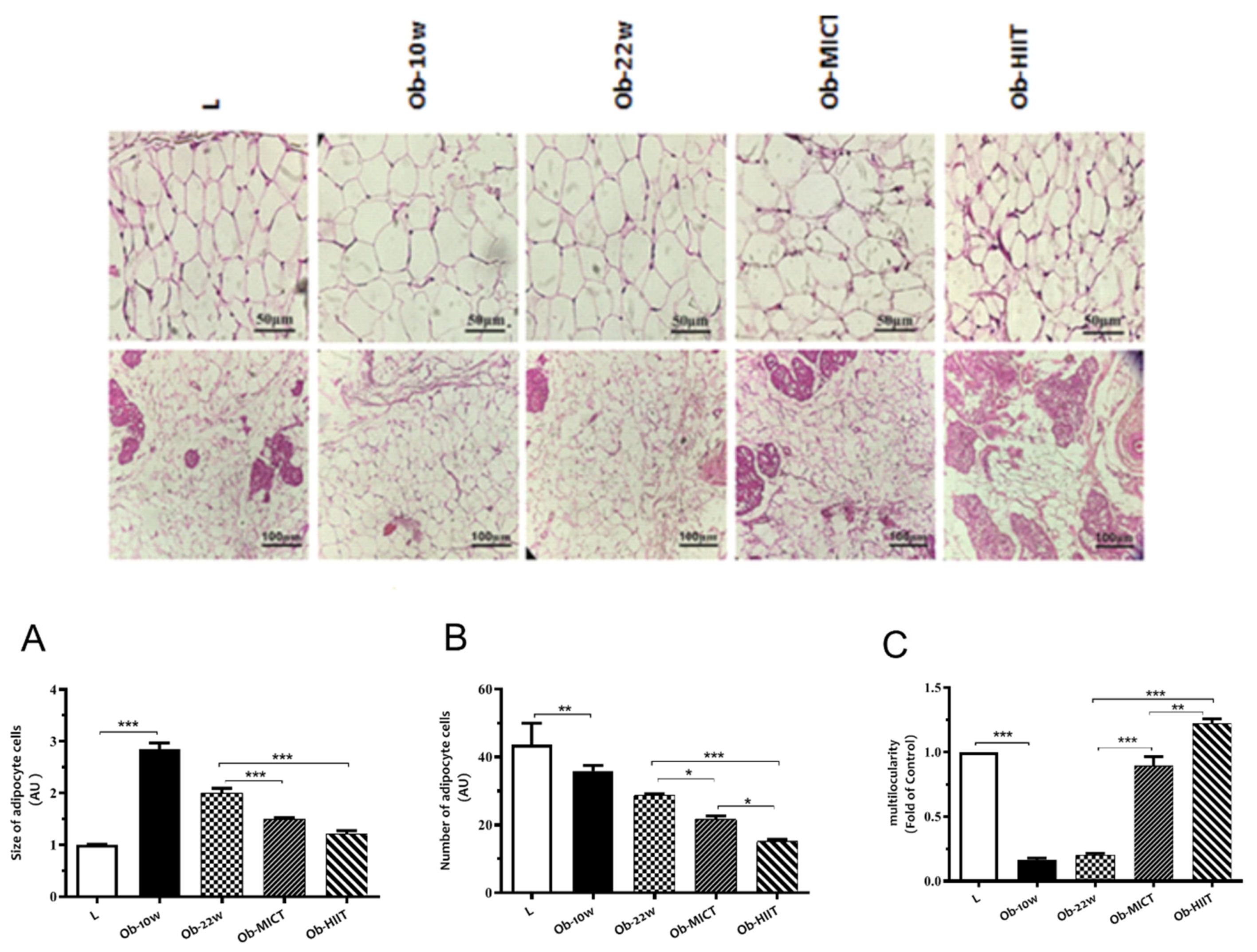 Nutrients 12 00925 g002 Nutrients 12 00925 g002