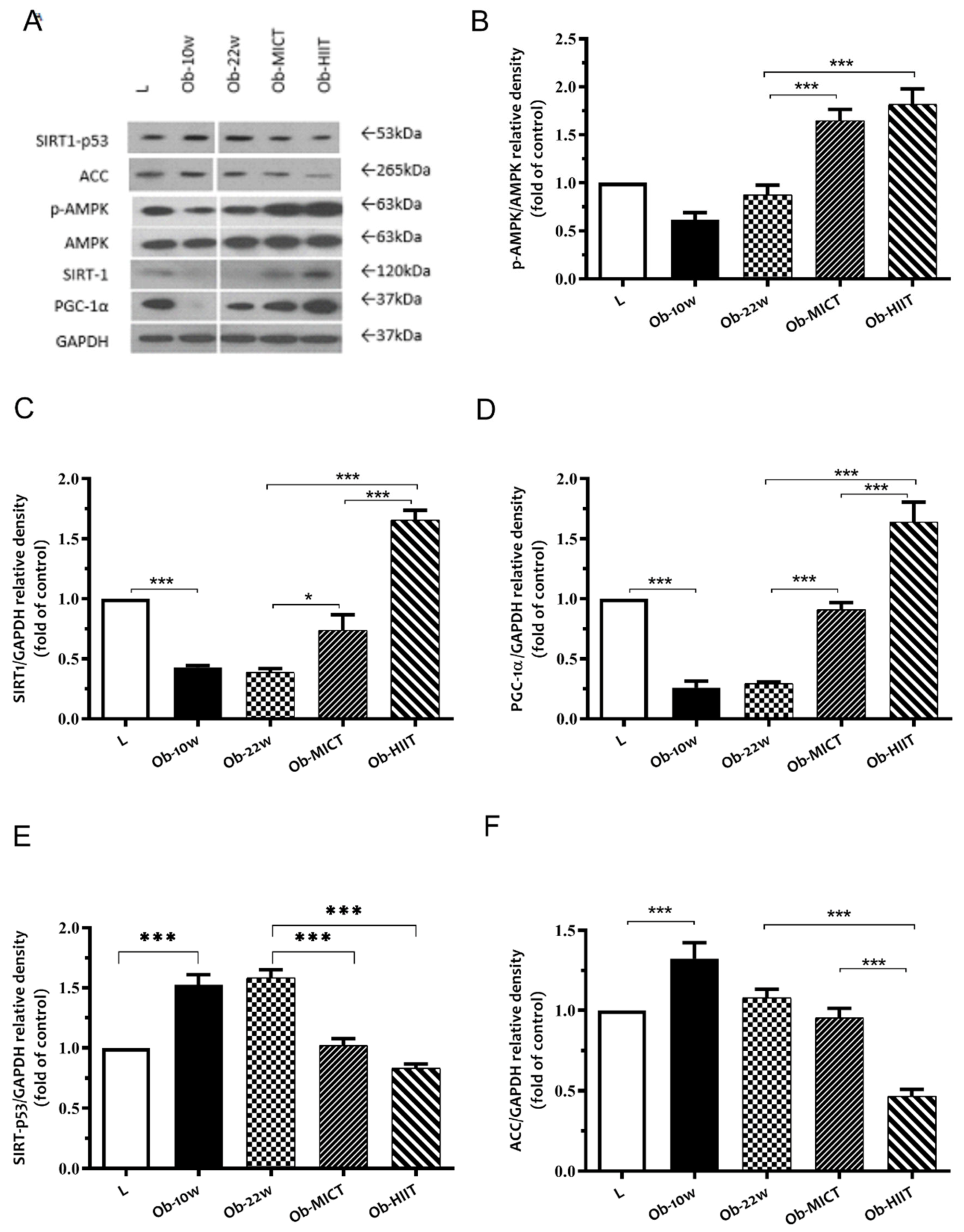 Nutrients 12 00925 g004 Nutrients 12 00925 g004