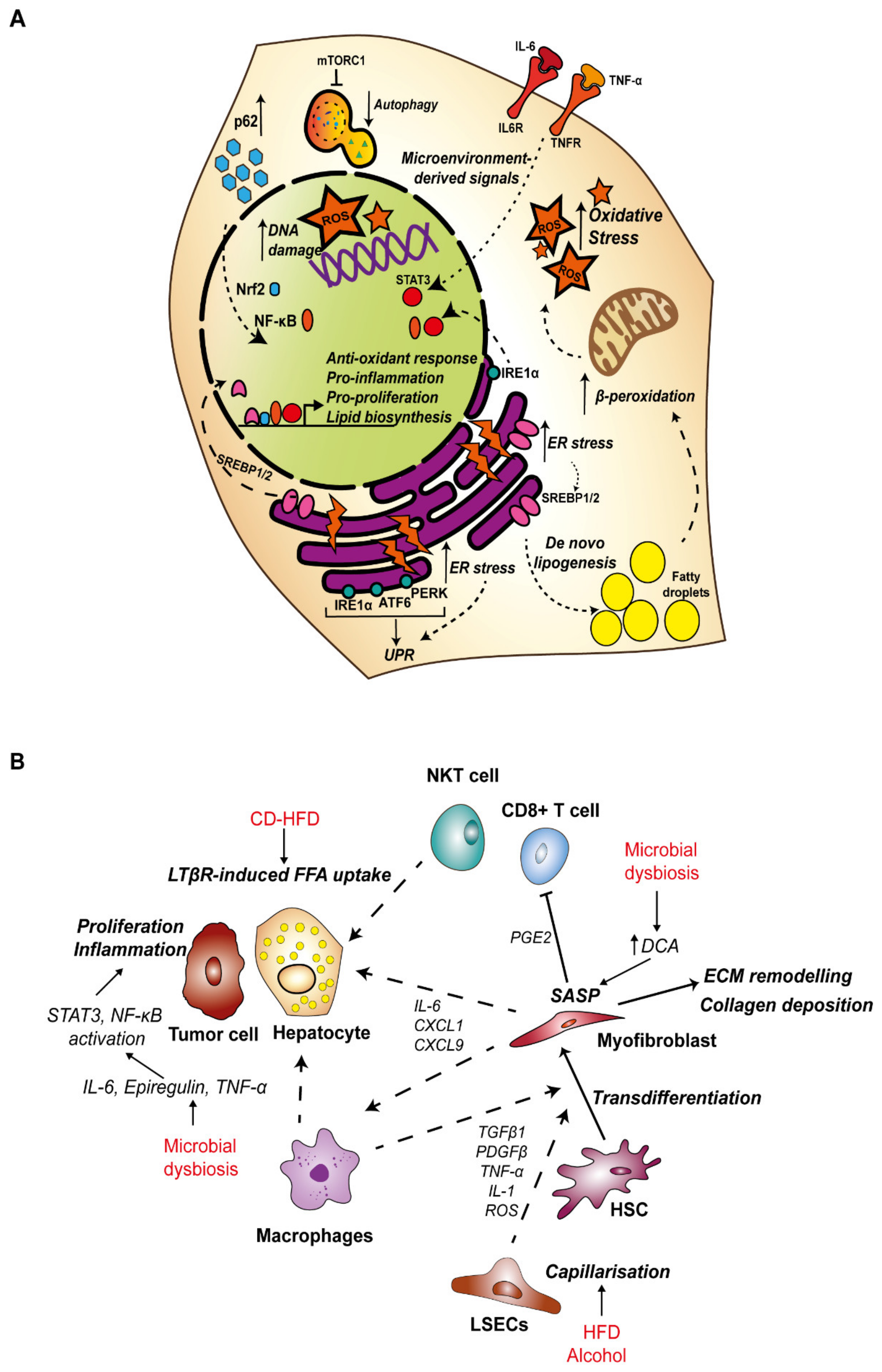 Nutrients 12 00933 g001